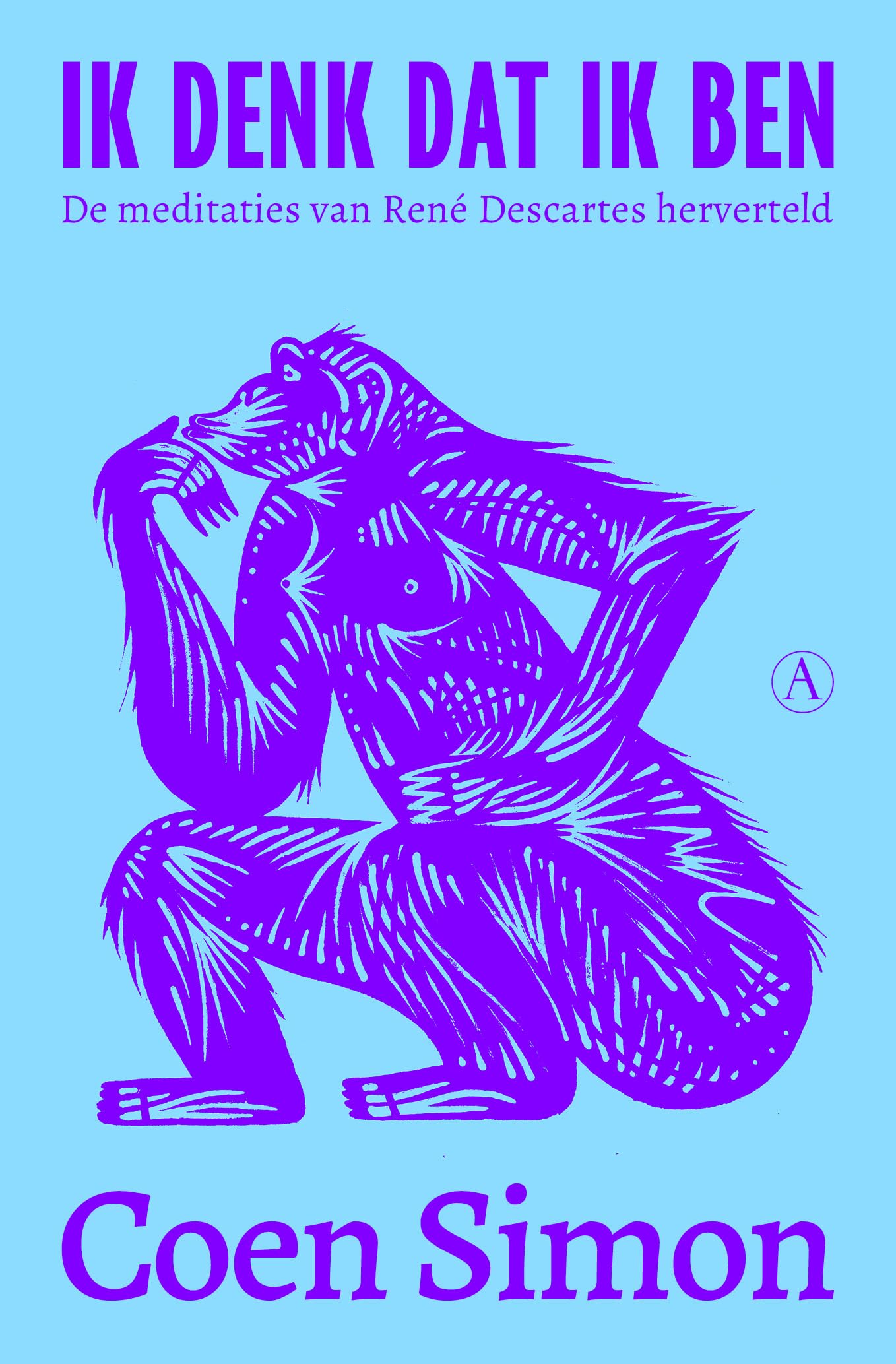 Ik denk dat ik ben: De meditaties van René Descartes herverteld book