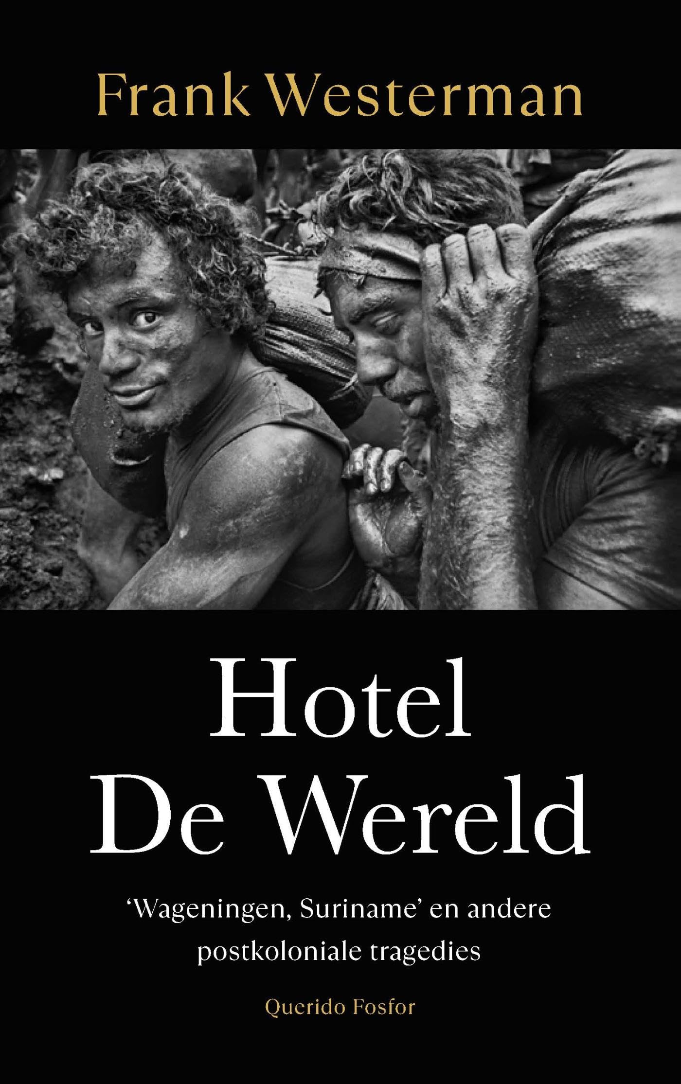 Hotel De Wereld: ‘Wageningen, Suriname’ en andere postkoloniale tragedies book