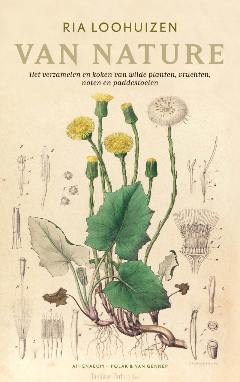 Van nature: het verzamelen en koken van wilde planten, vruchten, noten en paddestoelen book