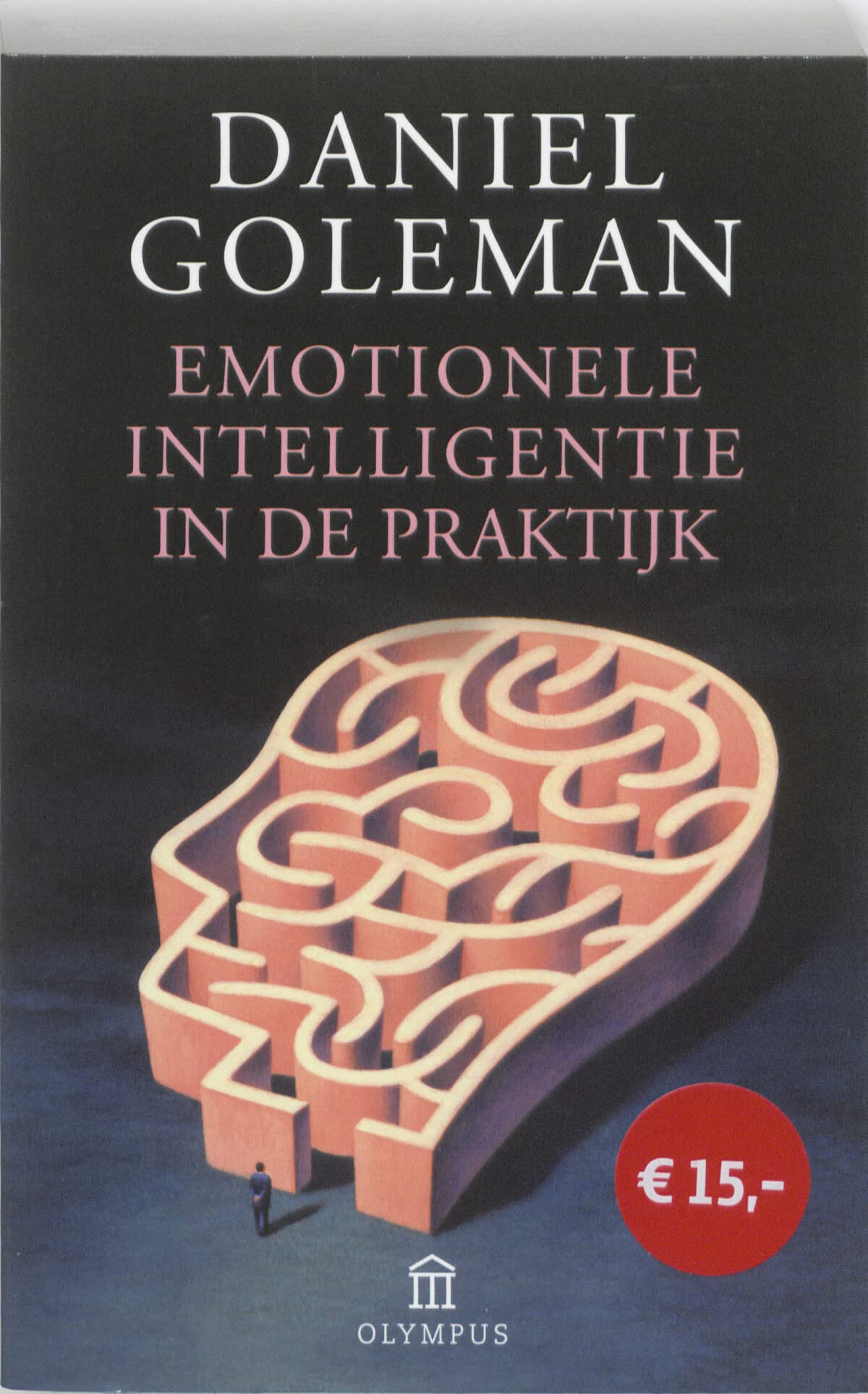 Emotionele intelligentie in de praktijk book