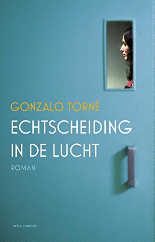 Echtscheiding in de lucht: roman book