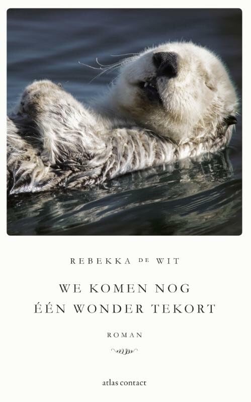We komen nog één wonder tekort: roman book