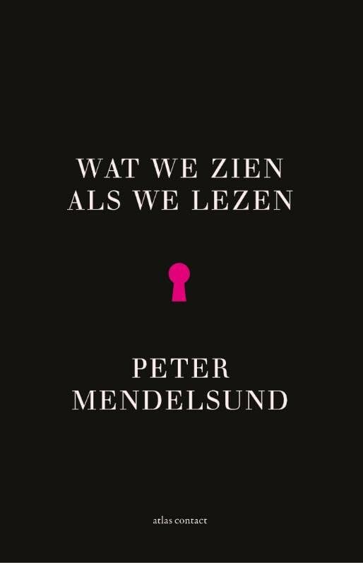 Wat we zien als we lezen: een fenomenologie book