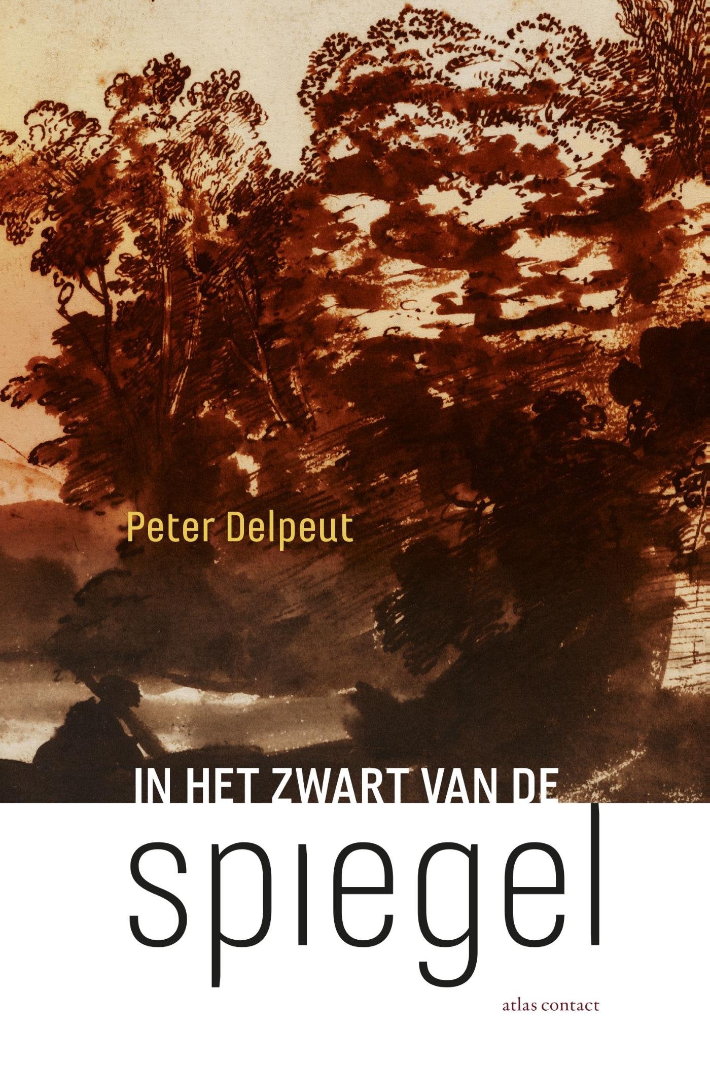 In het zwart van de spiegel: roman Contemporary literature