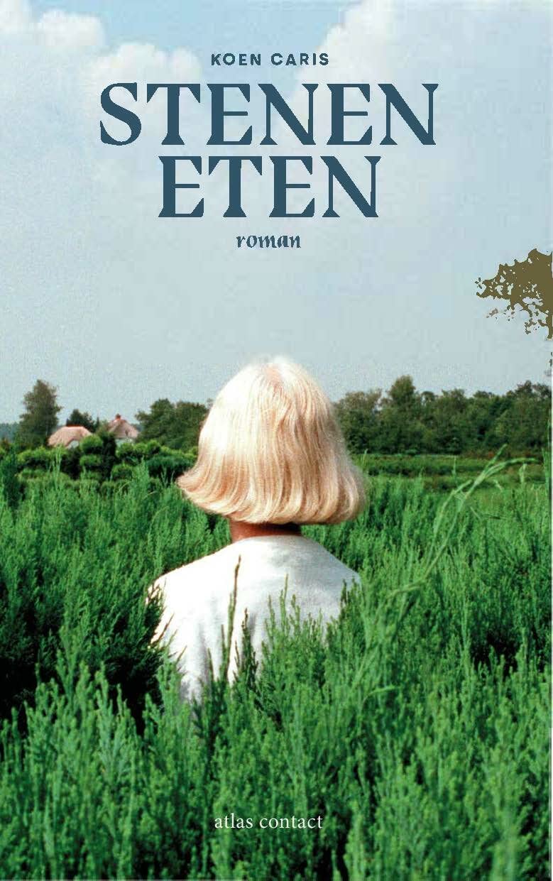 Stenen eten: roman Contemporary literature