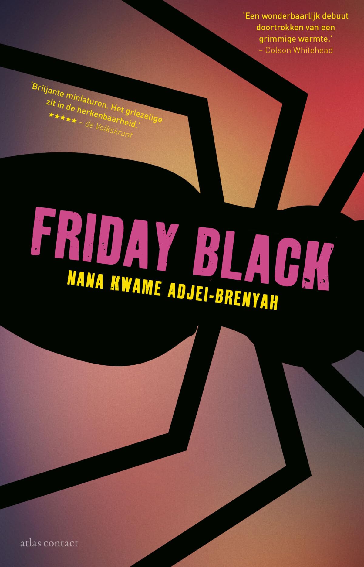 Friday black: verhalen book