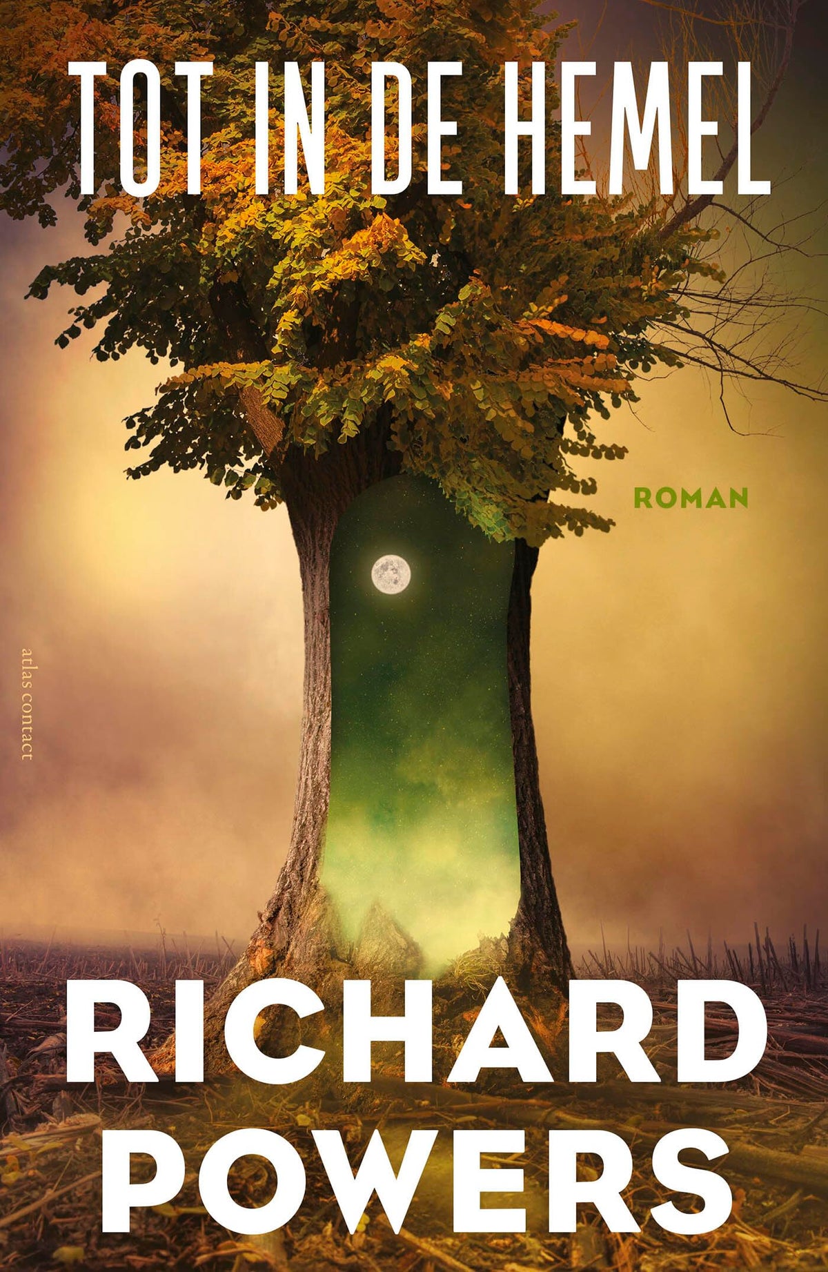 Tot in de hemel: roman International