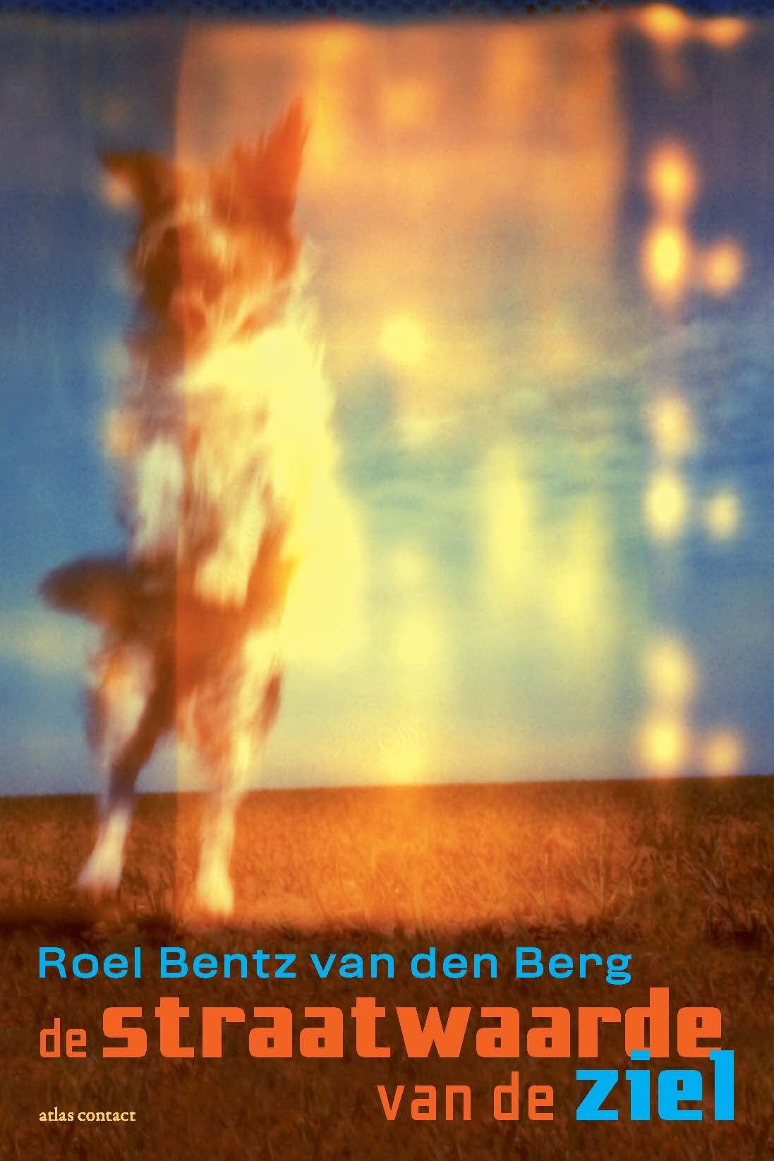 De straatwaarde van de ziel Contemporary literature