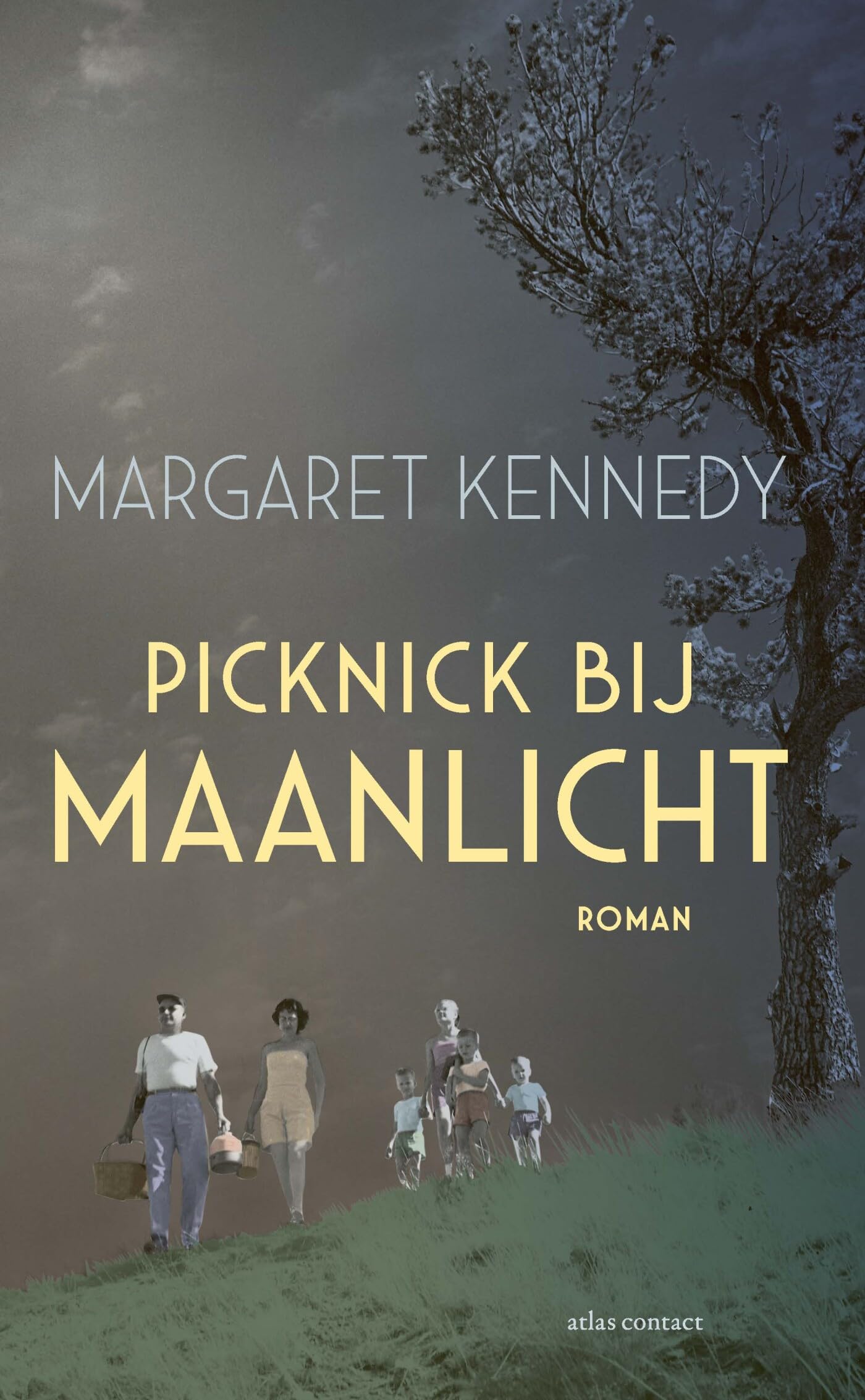 Picknick bij maanlicht: roman Classics