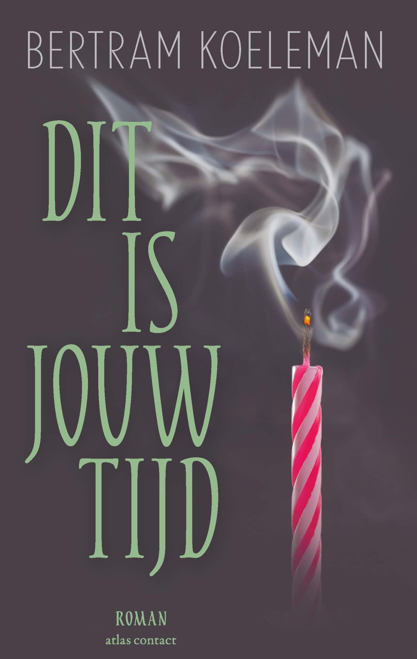 Dit is jouw tijd: roman Contemporary literature