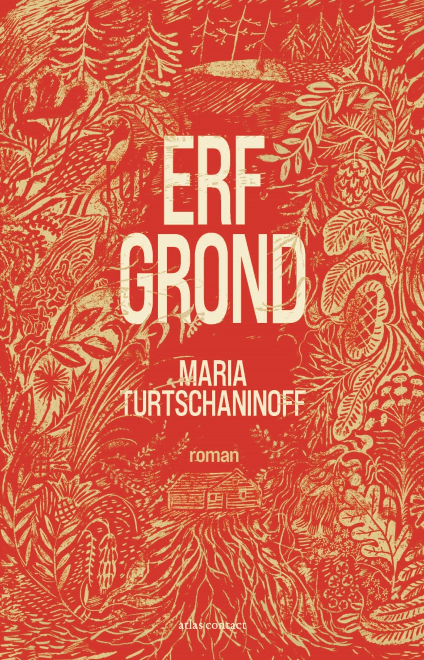 Erfgrond: roman book