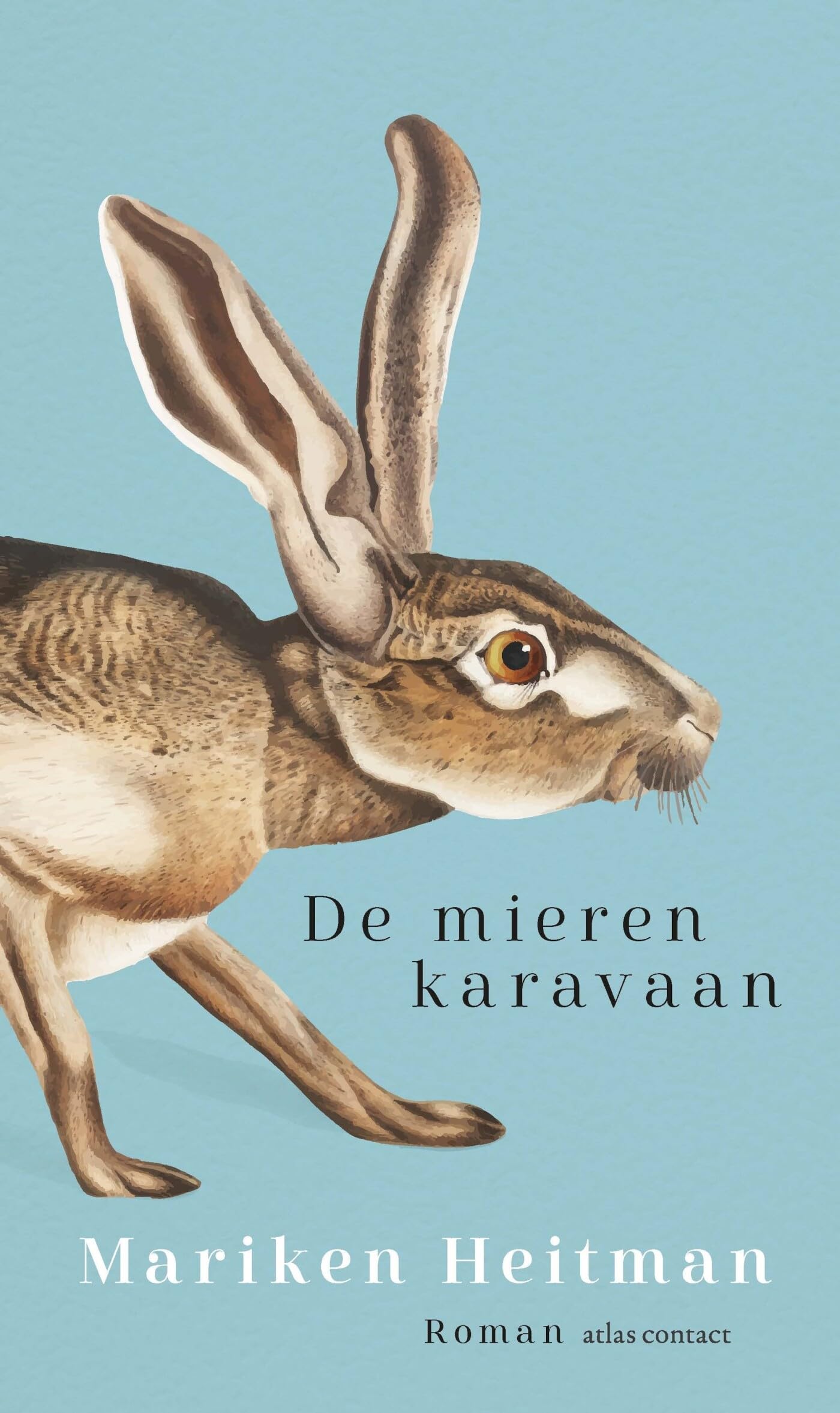 De mierenkaravaan: roman Contemporary literature