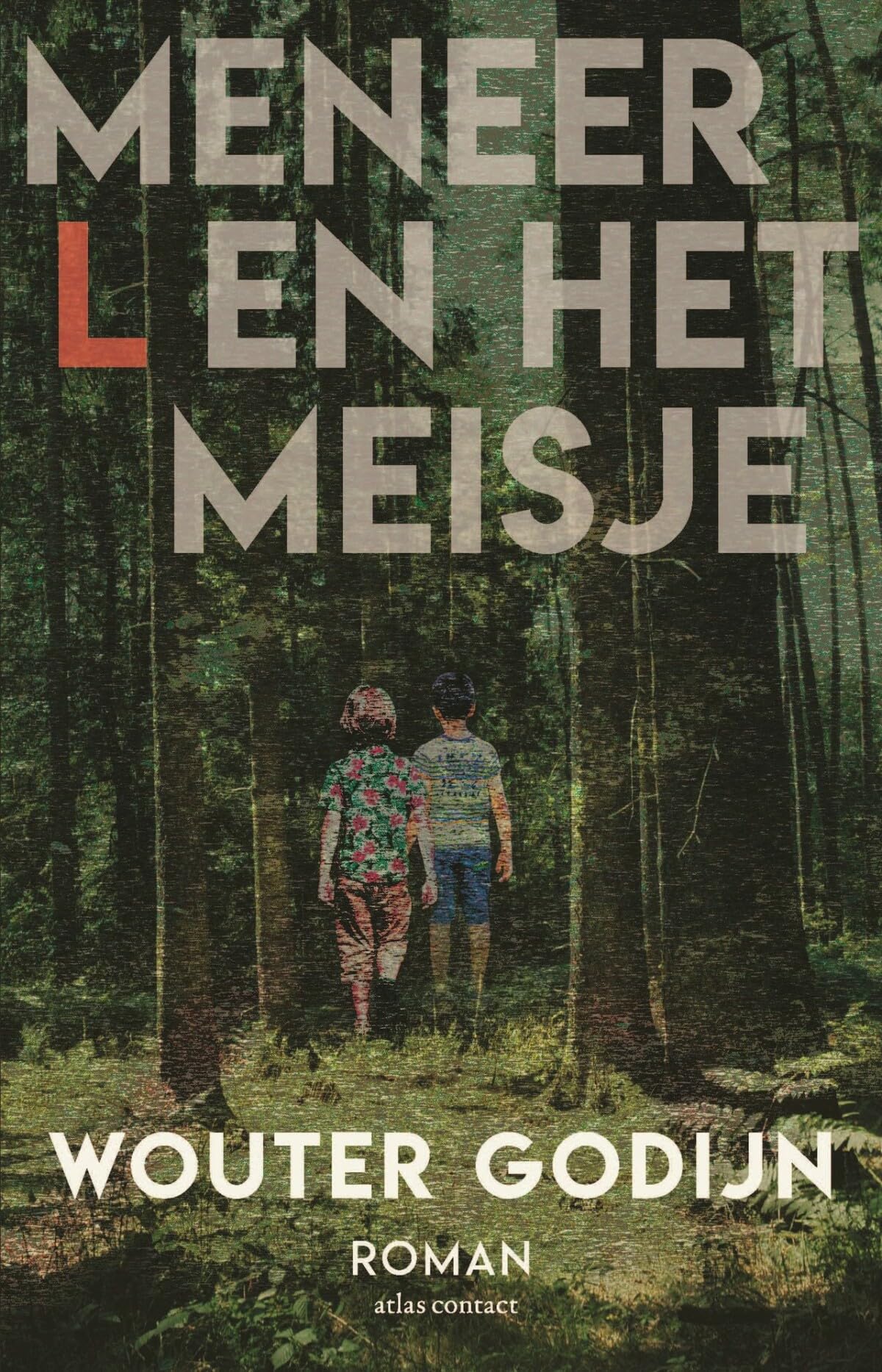 Meneer L en het meisje: een postume roman Contemporary literature