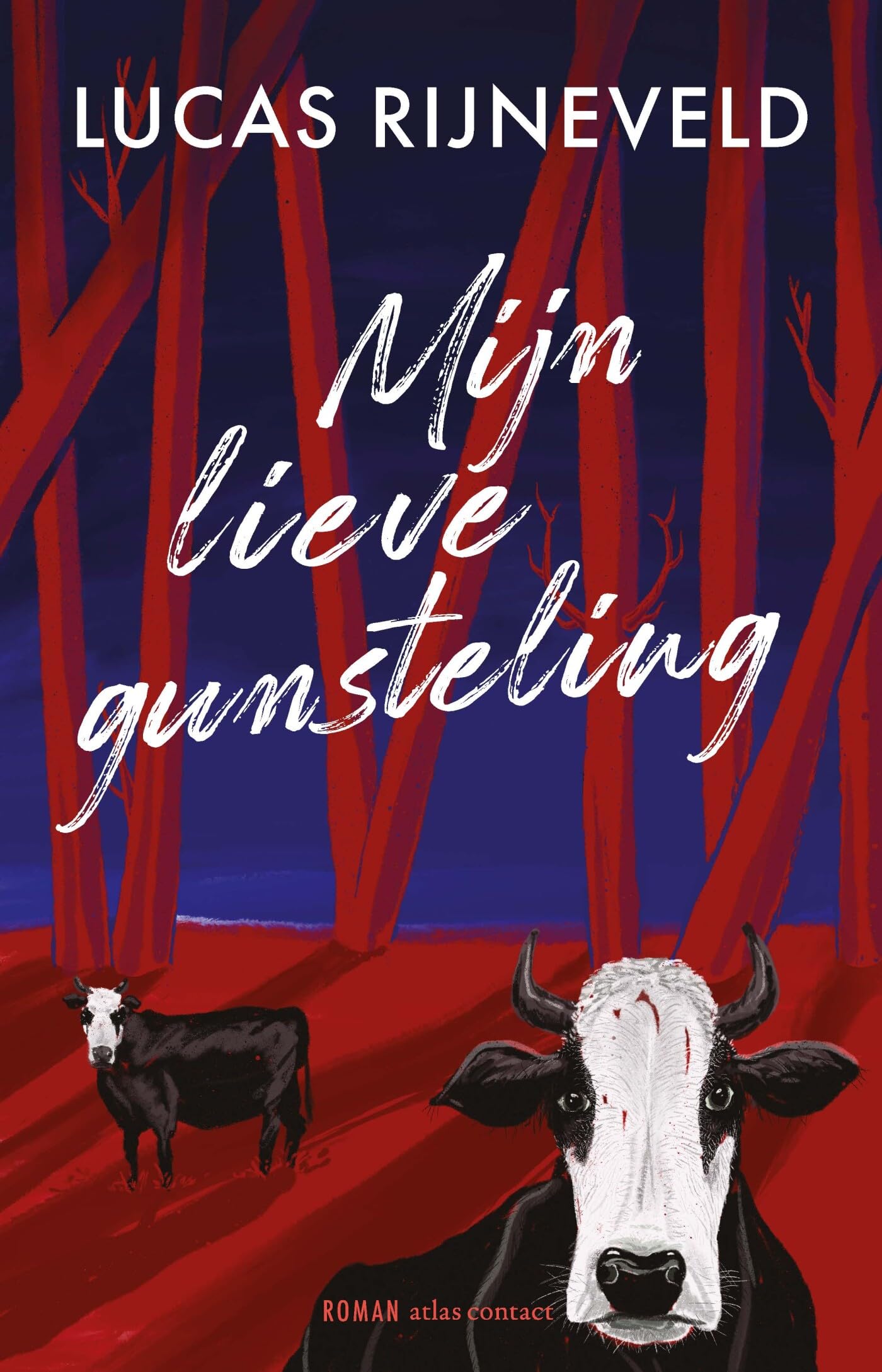 Mijn lieve gunsteling: roman Contemporary literature
