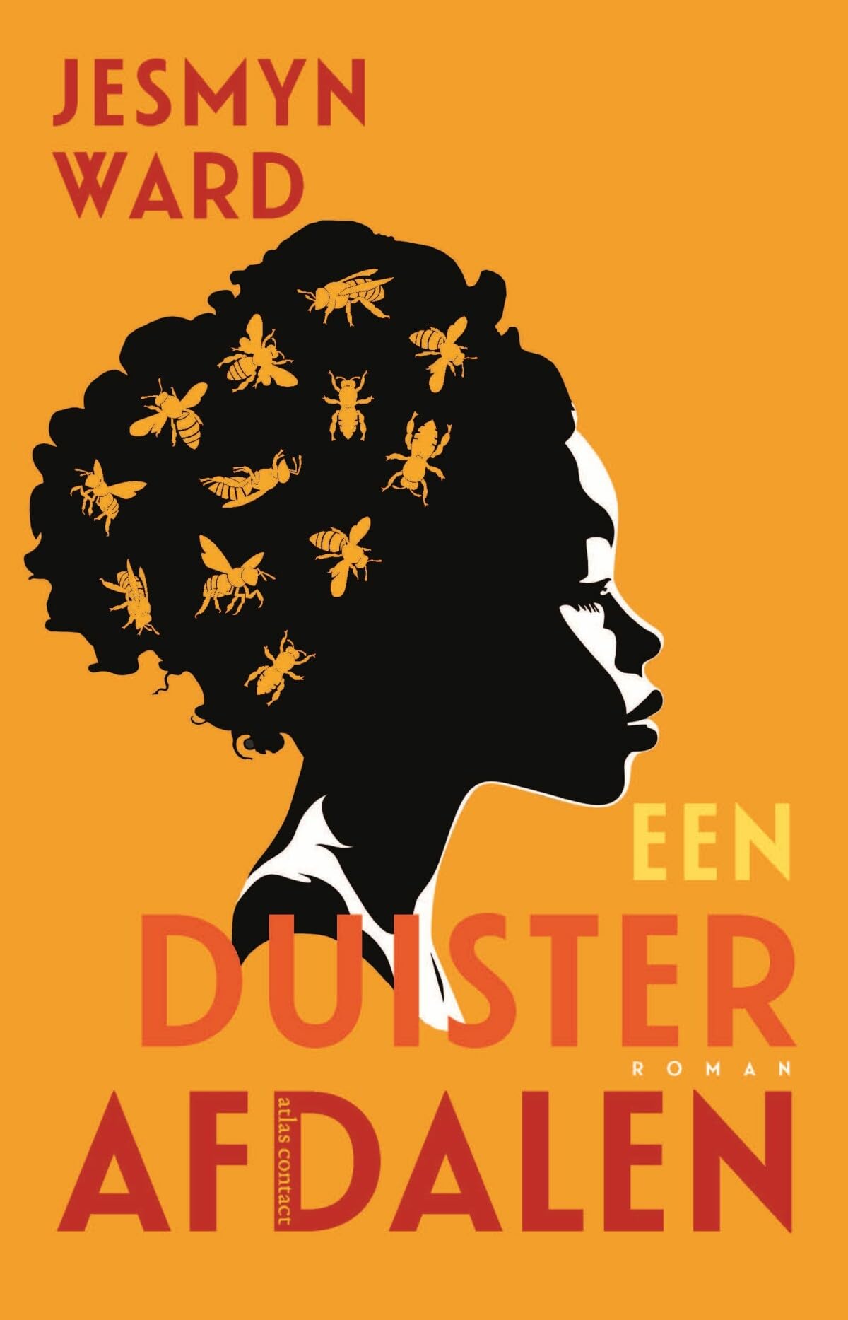 Een duister afdalen: roman book