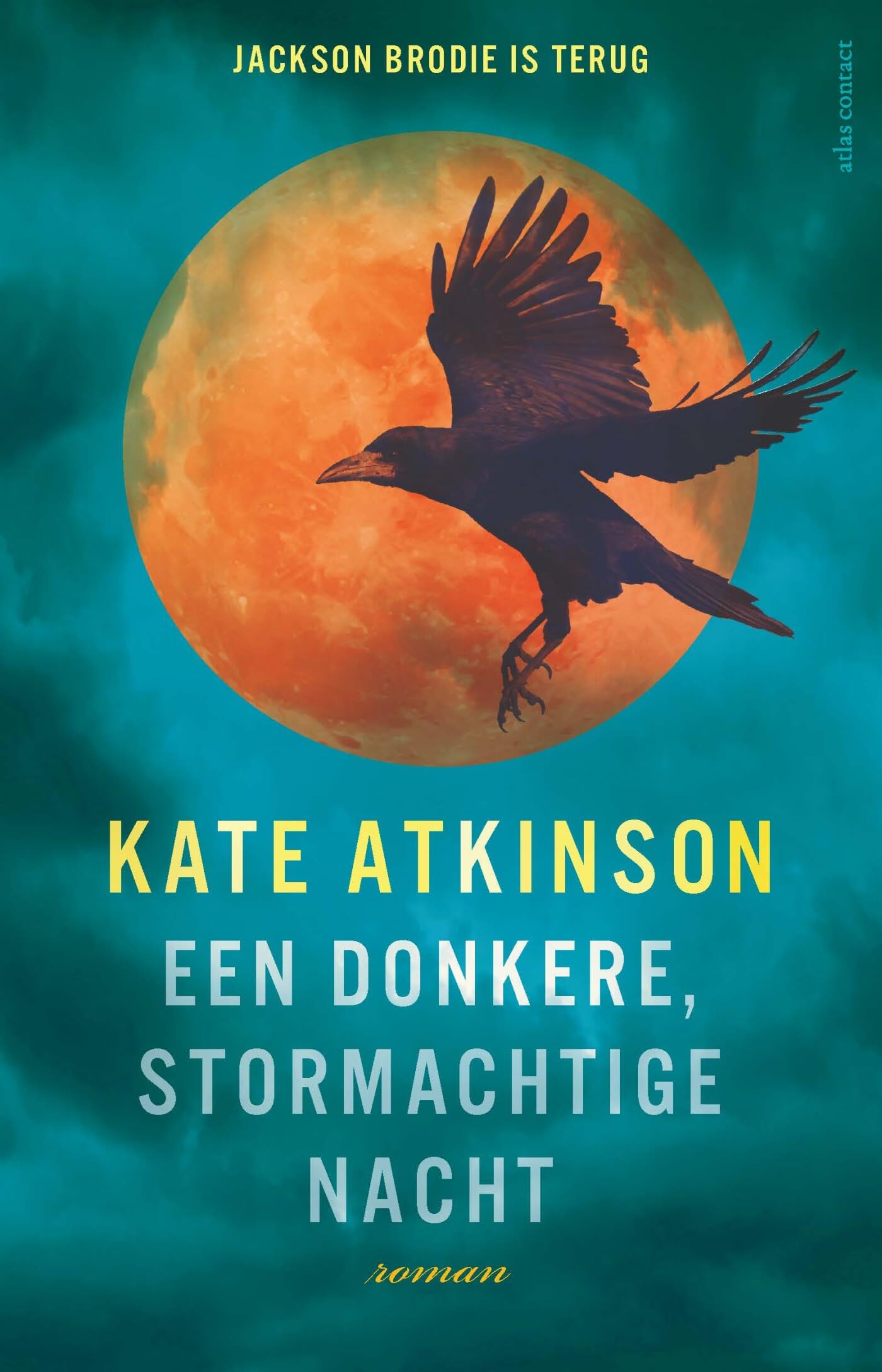 Een donkere, stormachtige nacht: roman (Jackson Brodie, 6) Contemporary literature
