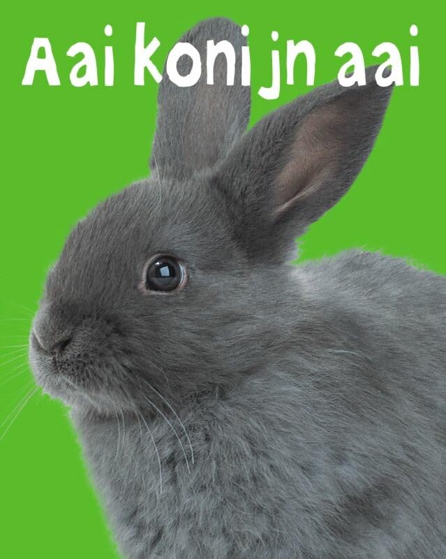 Aai konijn aai: een vachtjesvoelboekje book