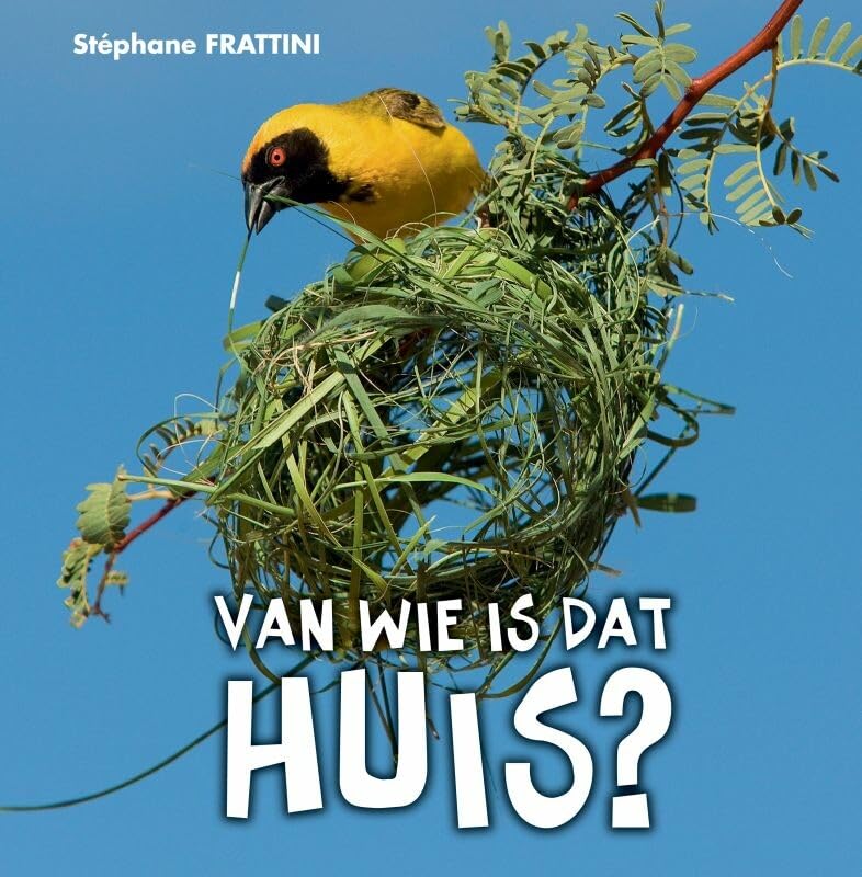 Product Image: Frattini, S: Van wie is dat huis?