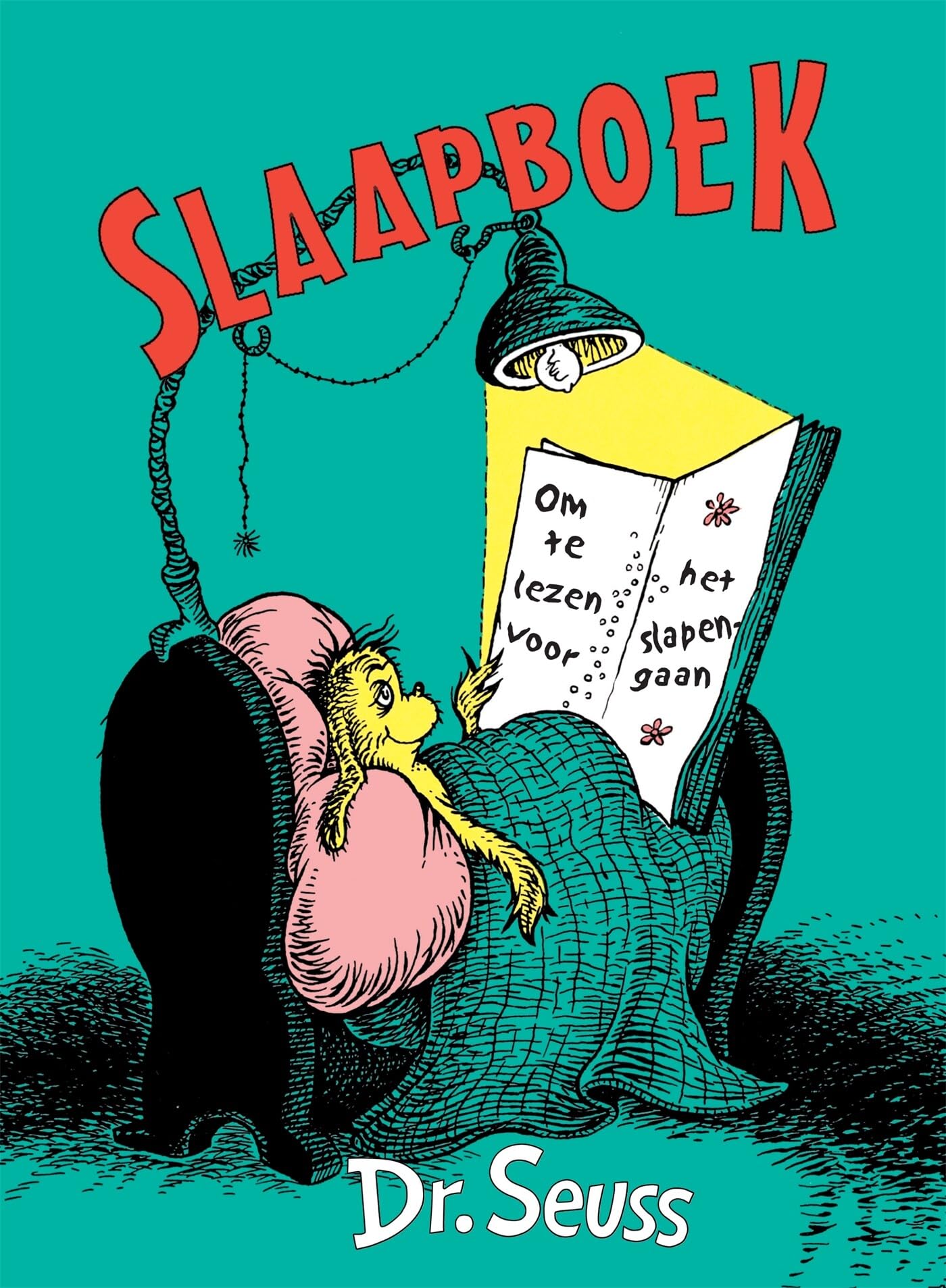 Slaapboek Non-fiction