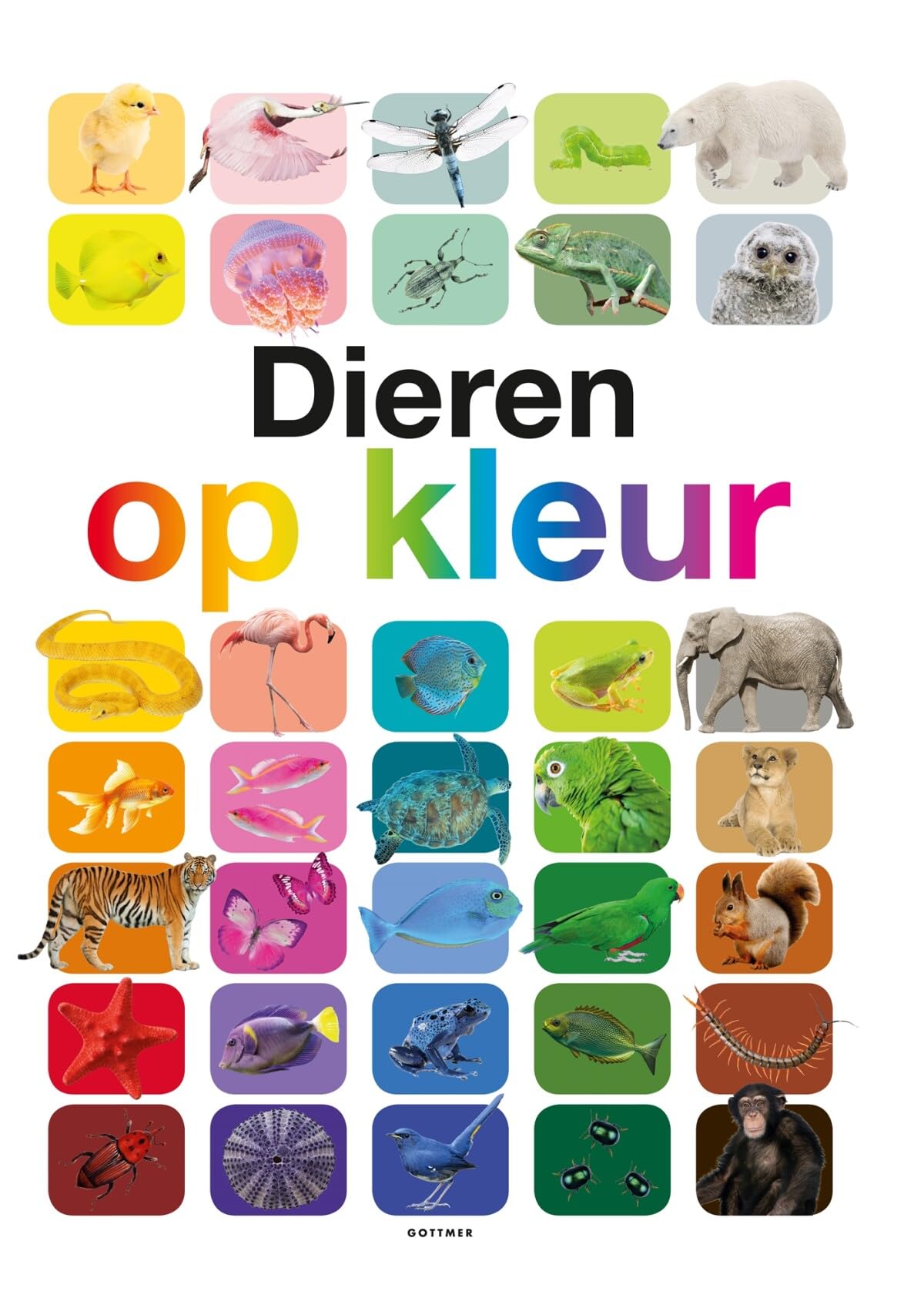 Dieren op kleur book