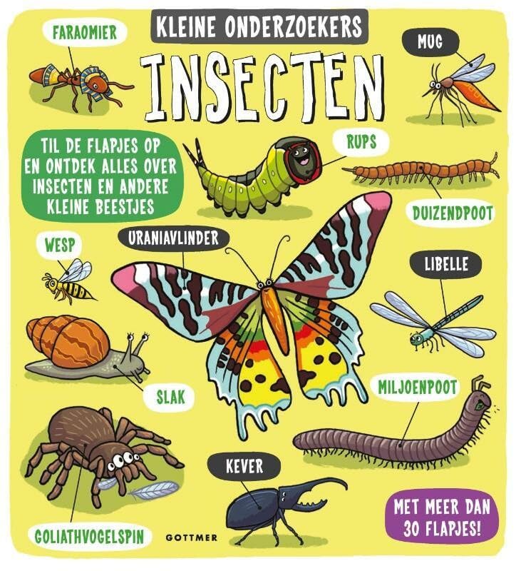 Insecten: Til de flapjes op en ontdek alles over insecten en andere kleine beestjes book