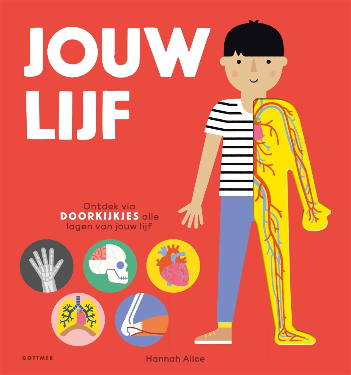 Jouw lijf: ontdek via doorkijkjes alle delen van jouw lijf book