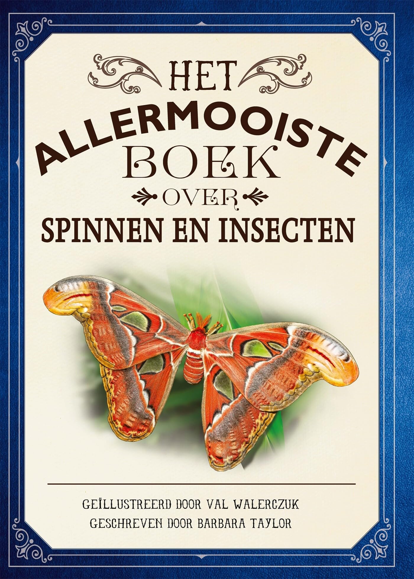 Het allermooiste boek over spinnen en insecten book