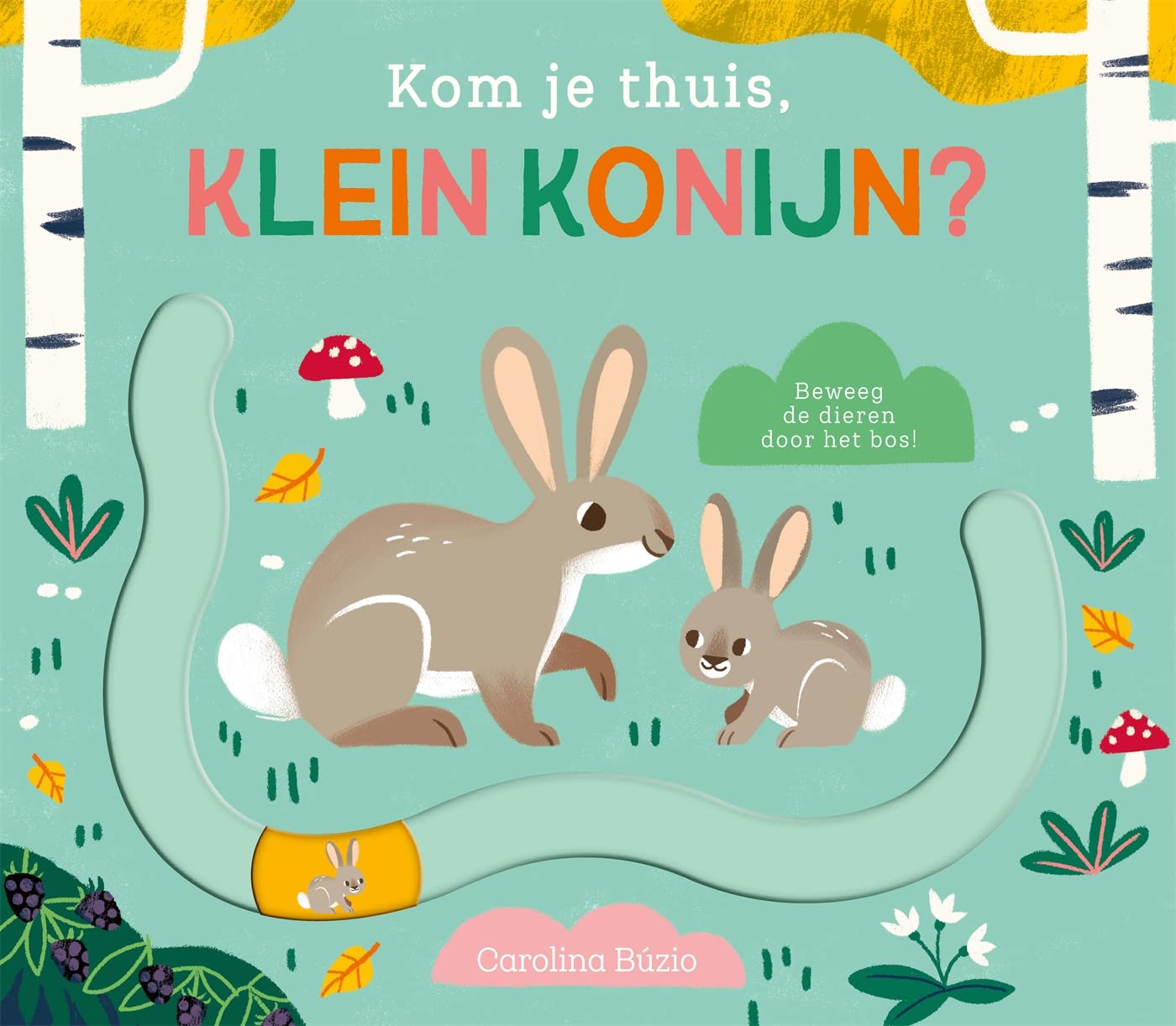 Kom je thuis, klein konijn? book