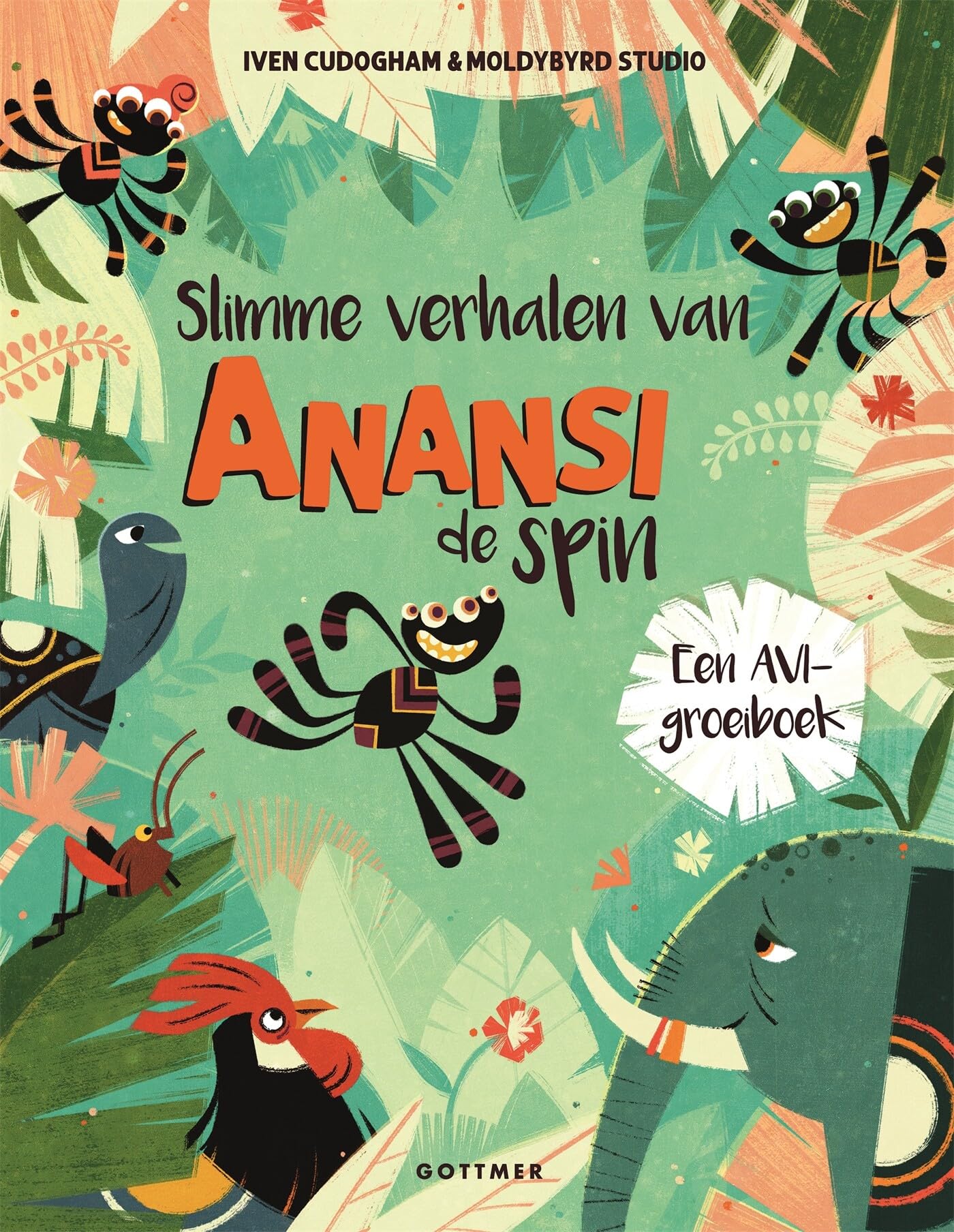 Slimme verhalen van Anansi de spin: een AVI groeiboek book