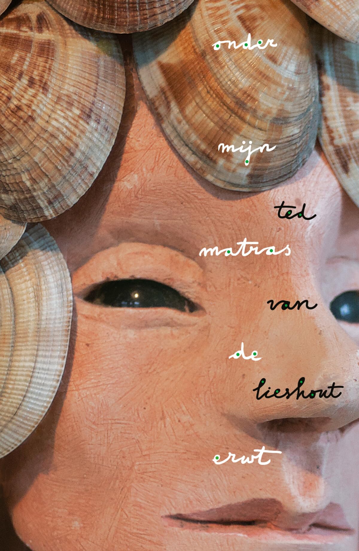 Onder mijn matras de erwt: gedichten & portretten book
