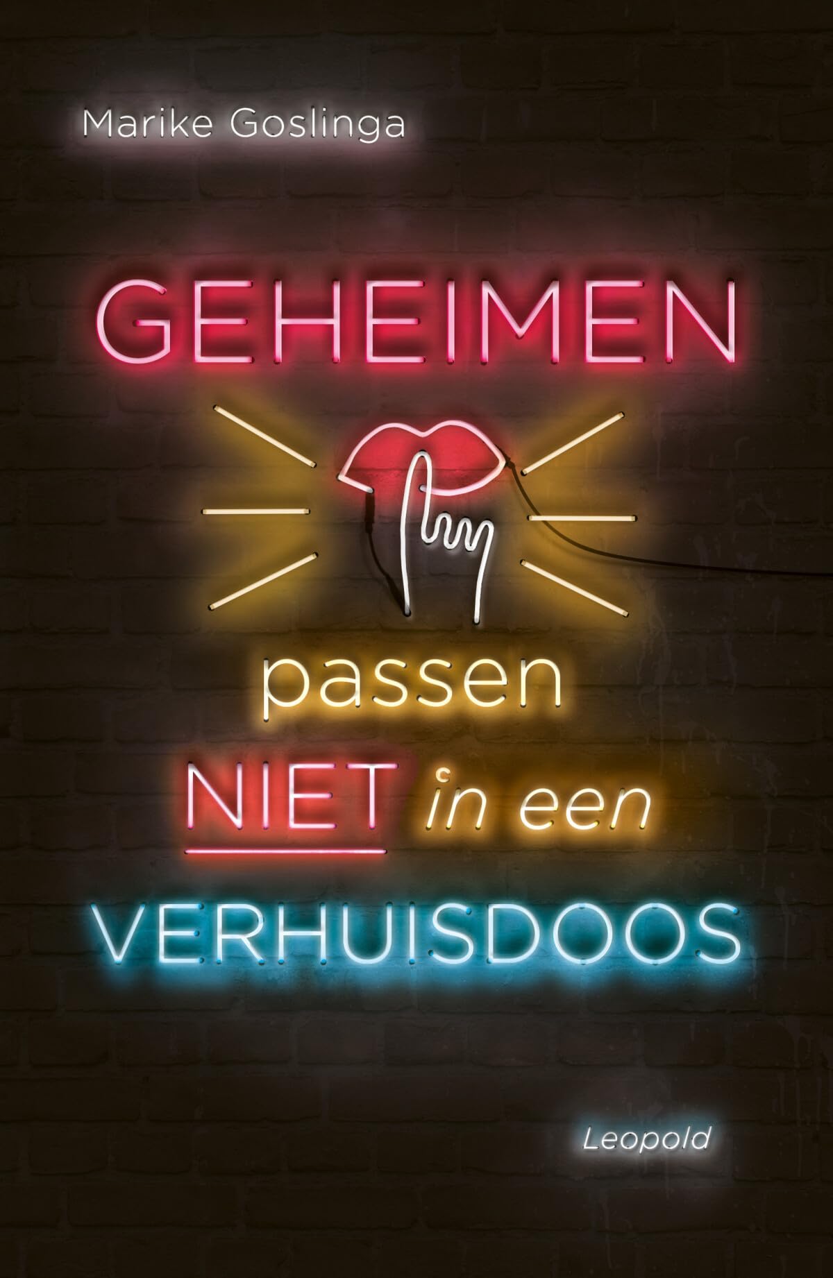 Geheimen passen niet in een verhuisdoos book