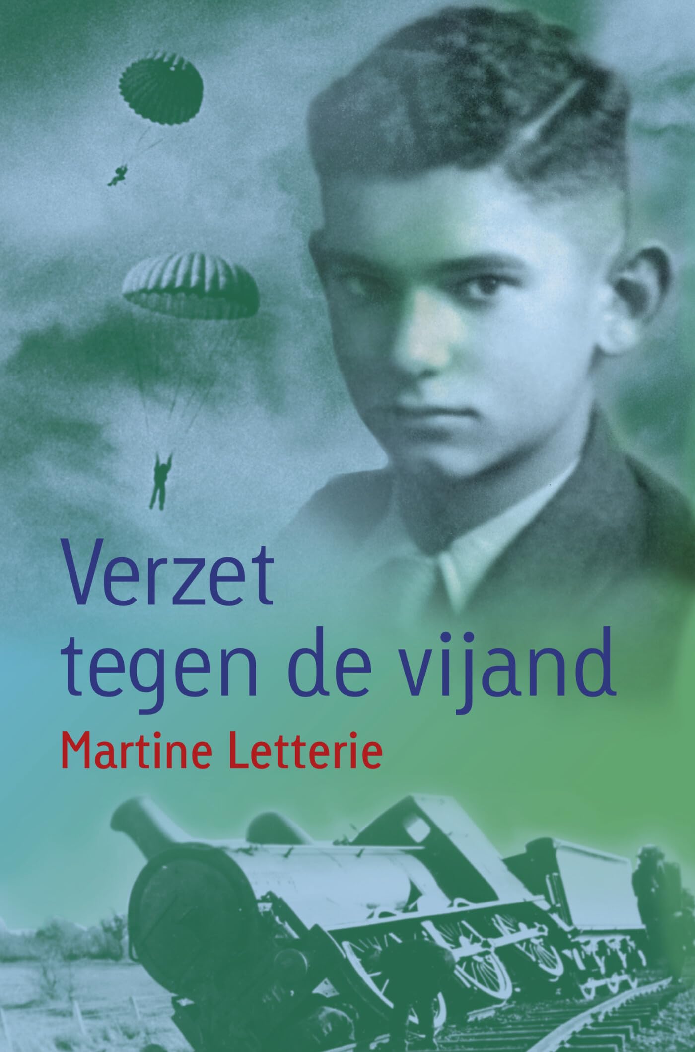 Verzet tegen de vijand: vergeten oorlog book