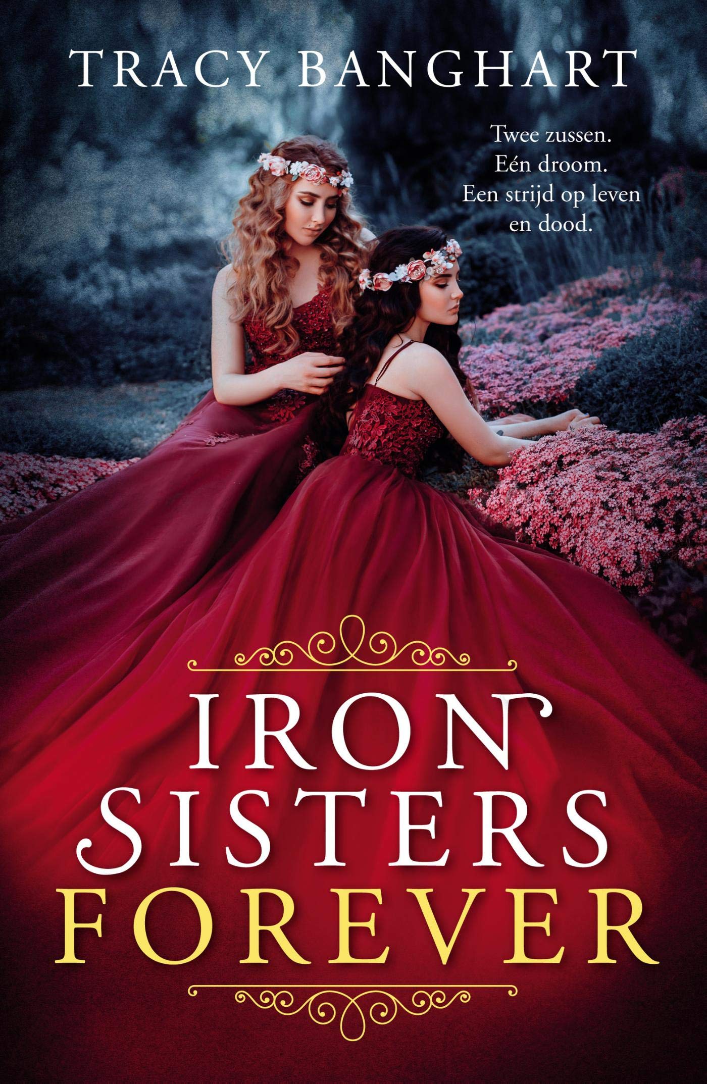 Product Image: Iron sisters forever