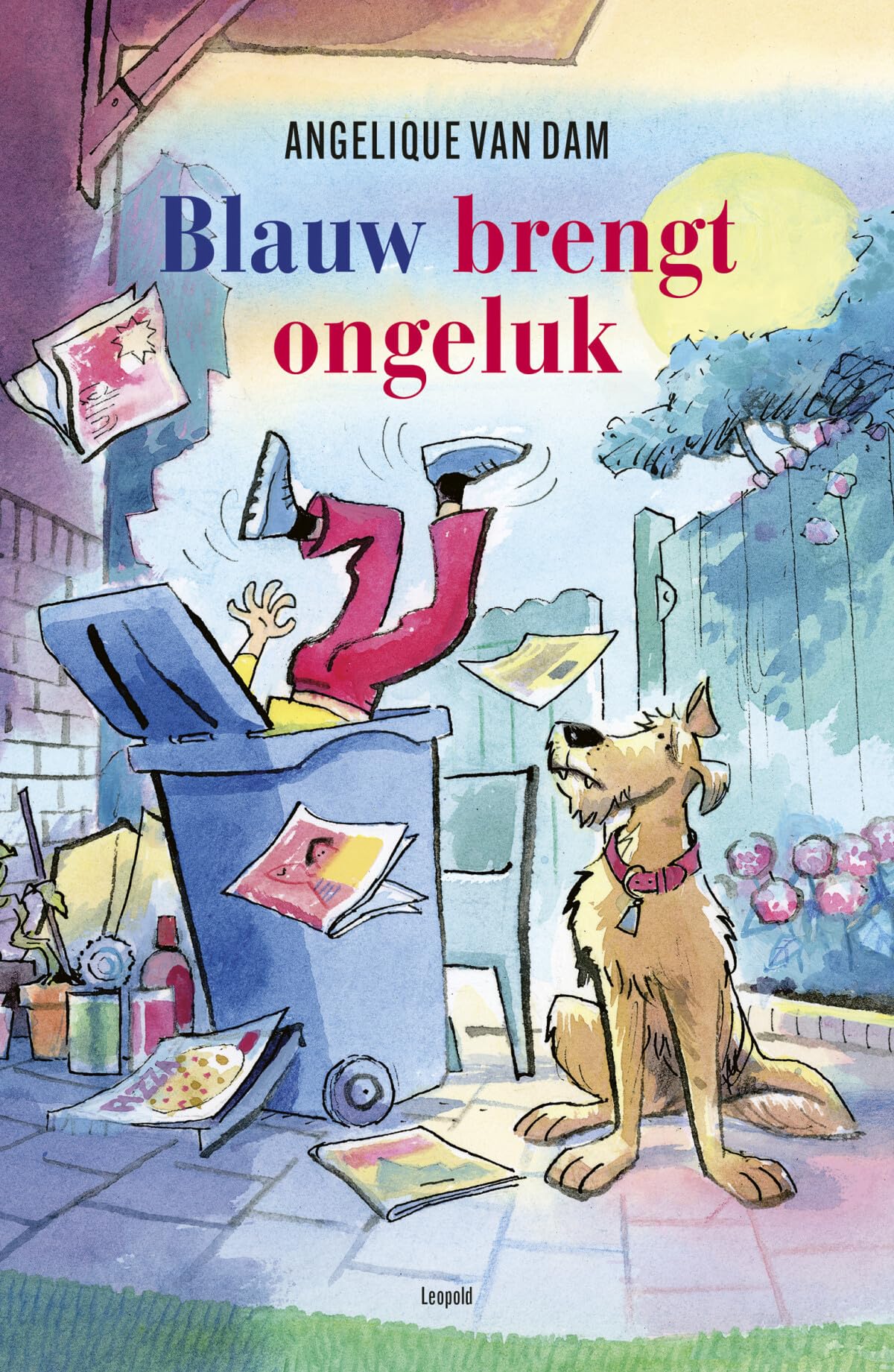 Blauw brengt ongeluk book
