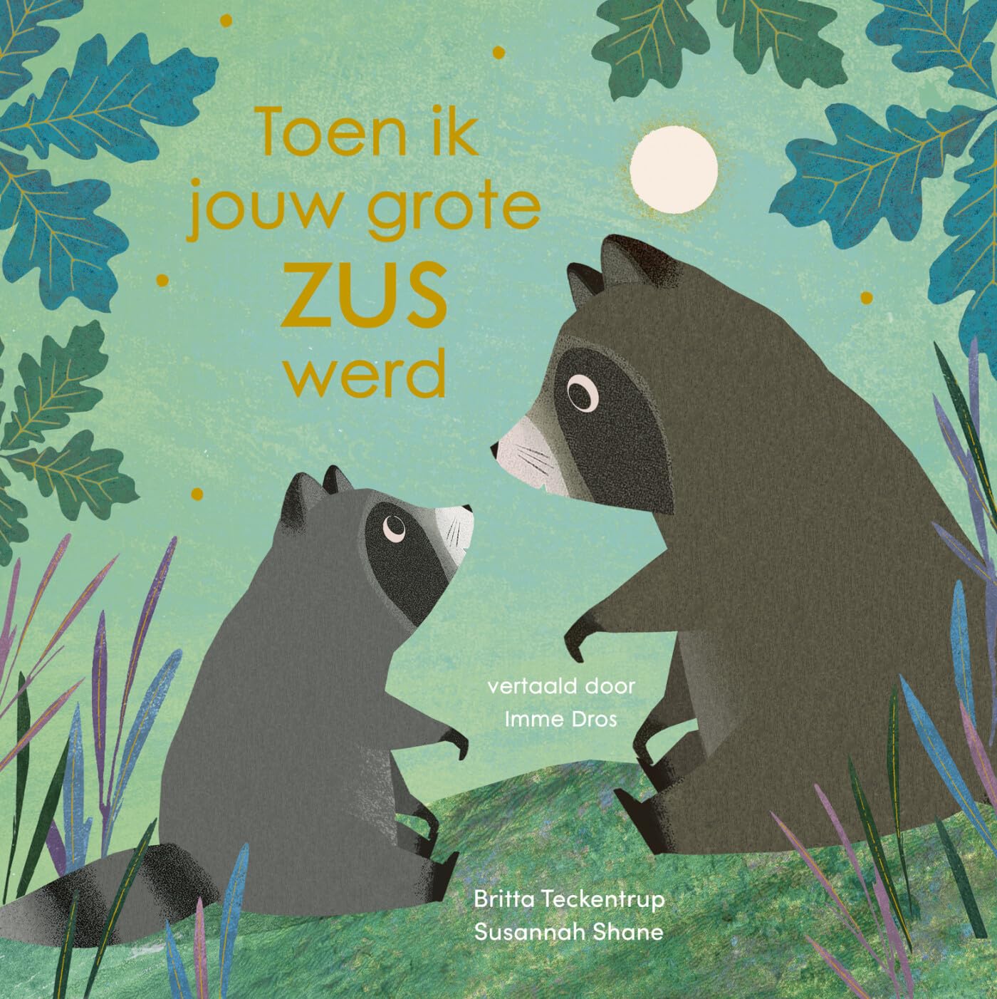 Toen ik jouw grote zus werd book