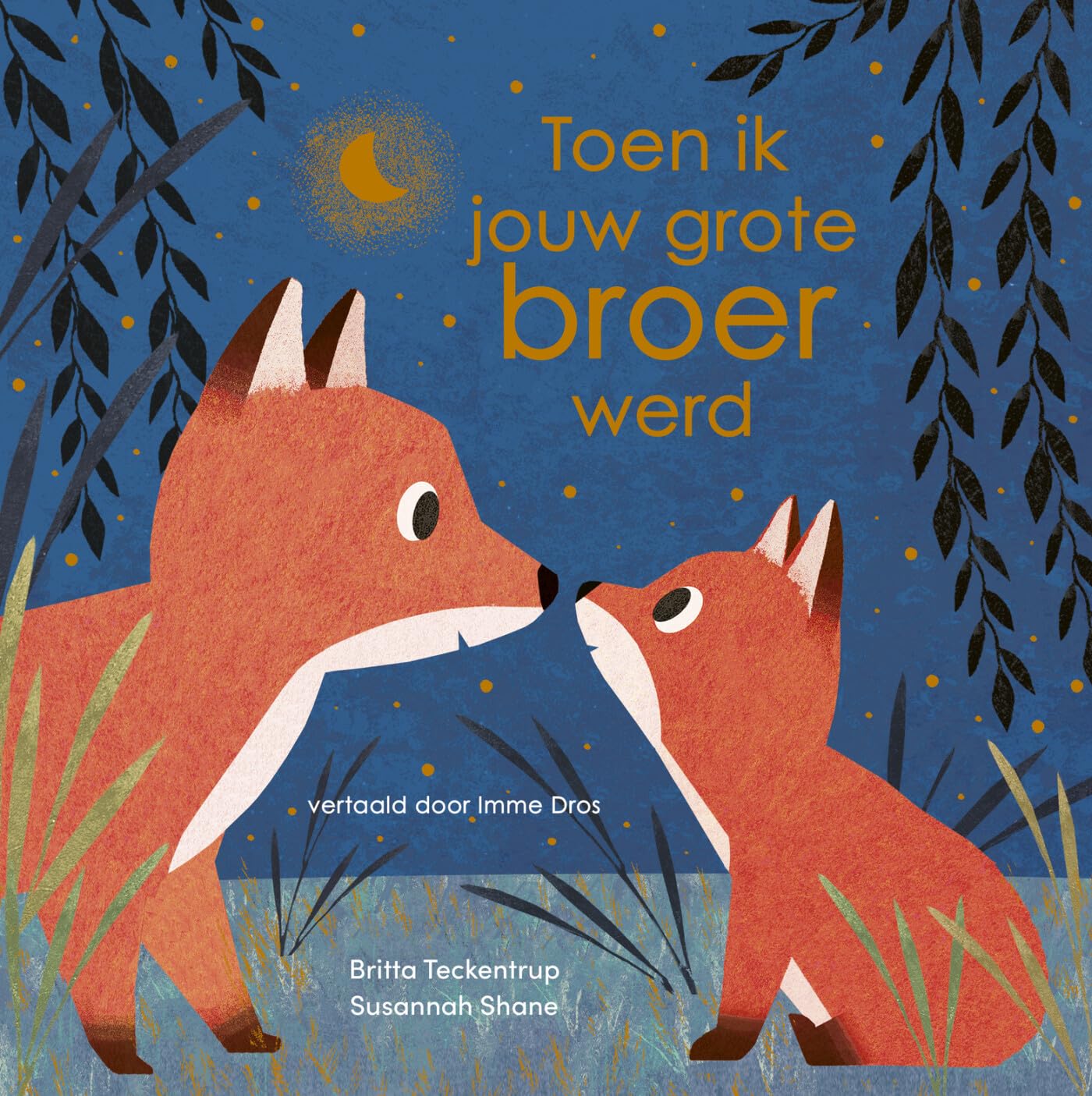 Toen ik jouw grote broer werd book