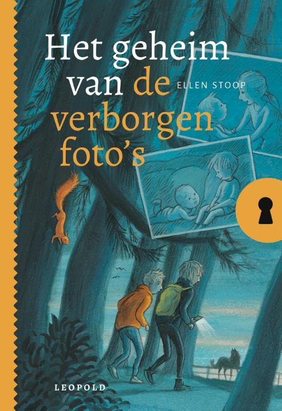 Het geheim van de verborgen foto's book