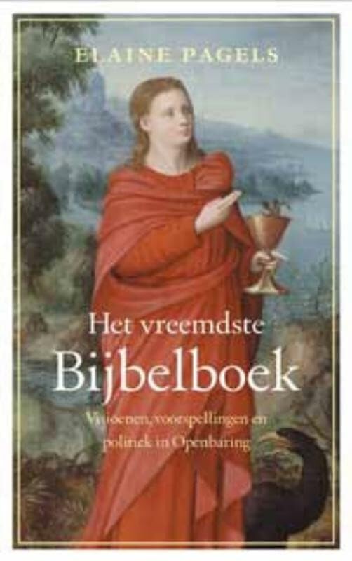 Het vreemdste bijbelboek: visioenen, voorspellingen en politiek in Openbaring book
