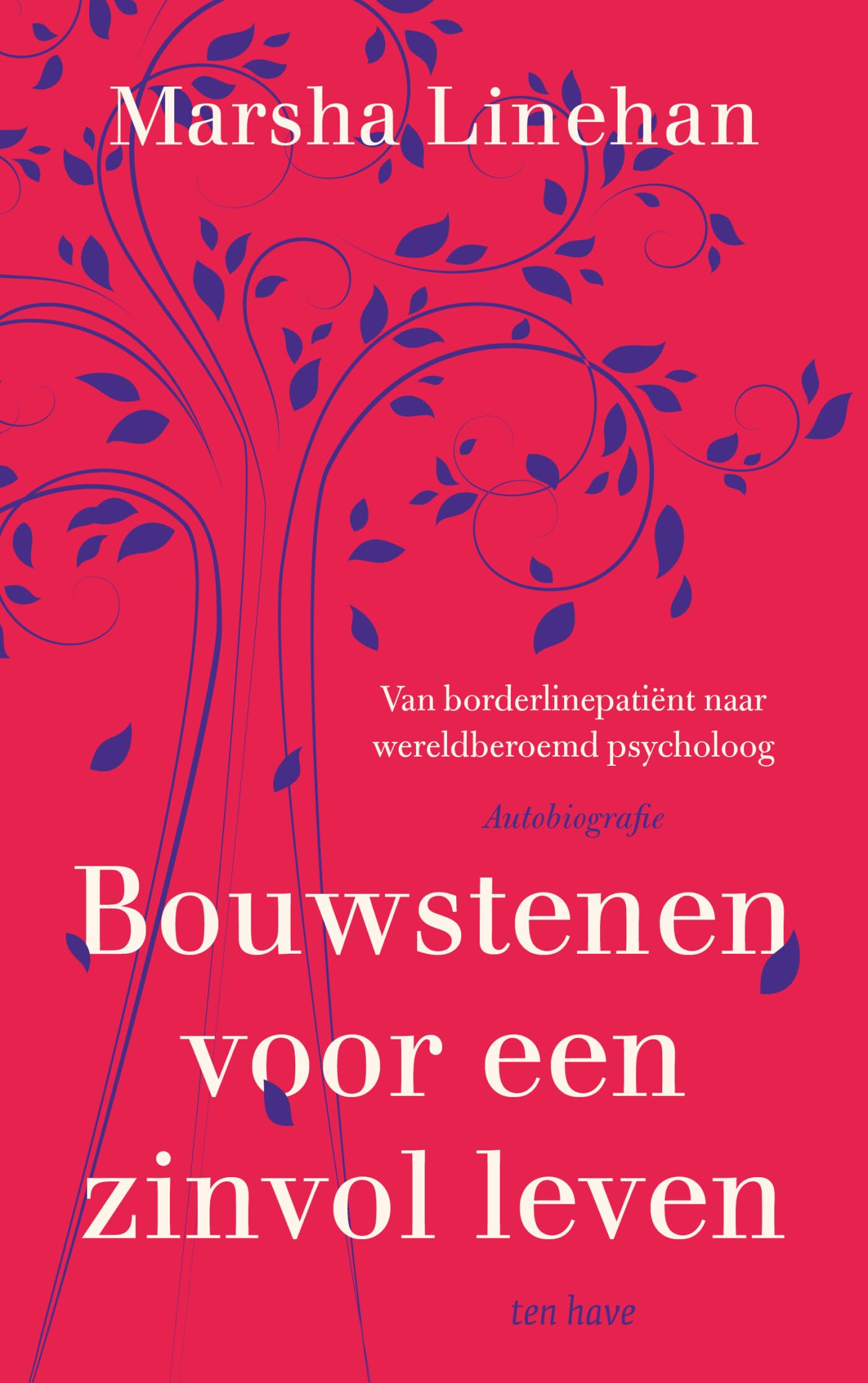 Bouwstenen voor een zinvol leven: van borderlinepatiënt naar wereldberoemd psycholoog : autobiografie book