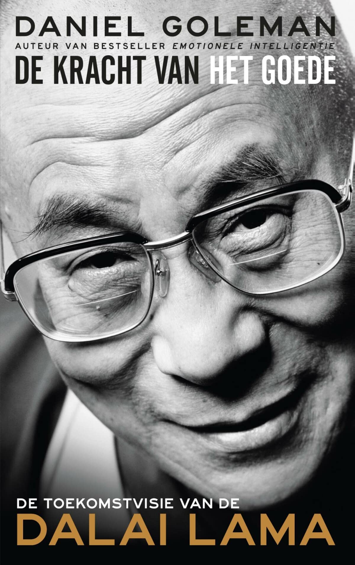 De kracht van het goede: De toekomstvisie van de Dalai Lama Philosophy