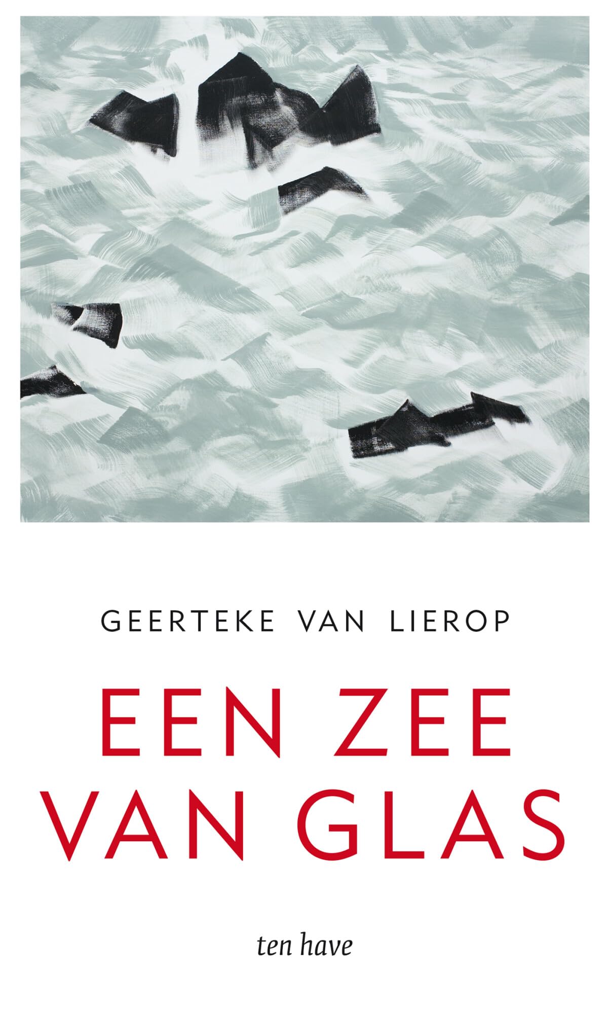 Een zee van glas: over de dood die het leven dichterbij brengt book