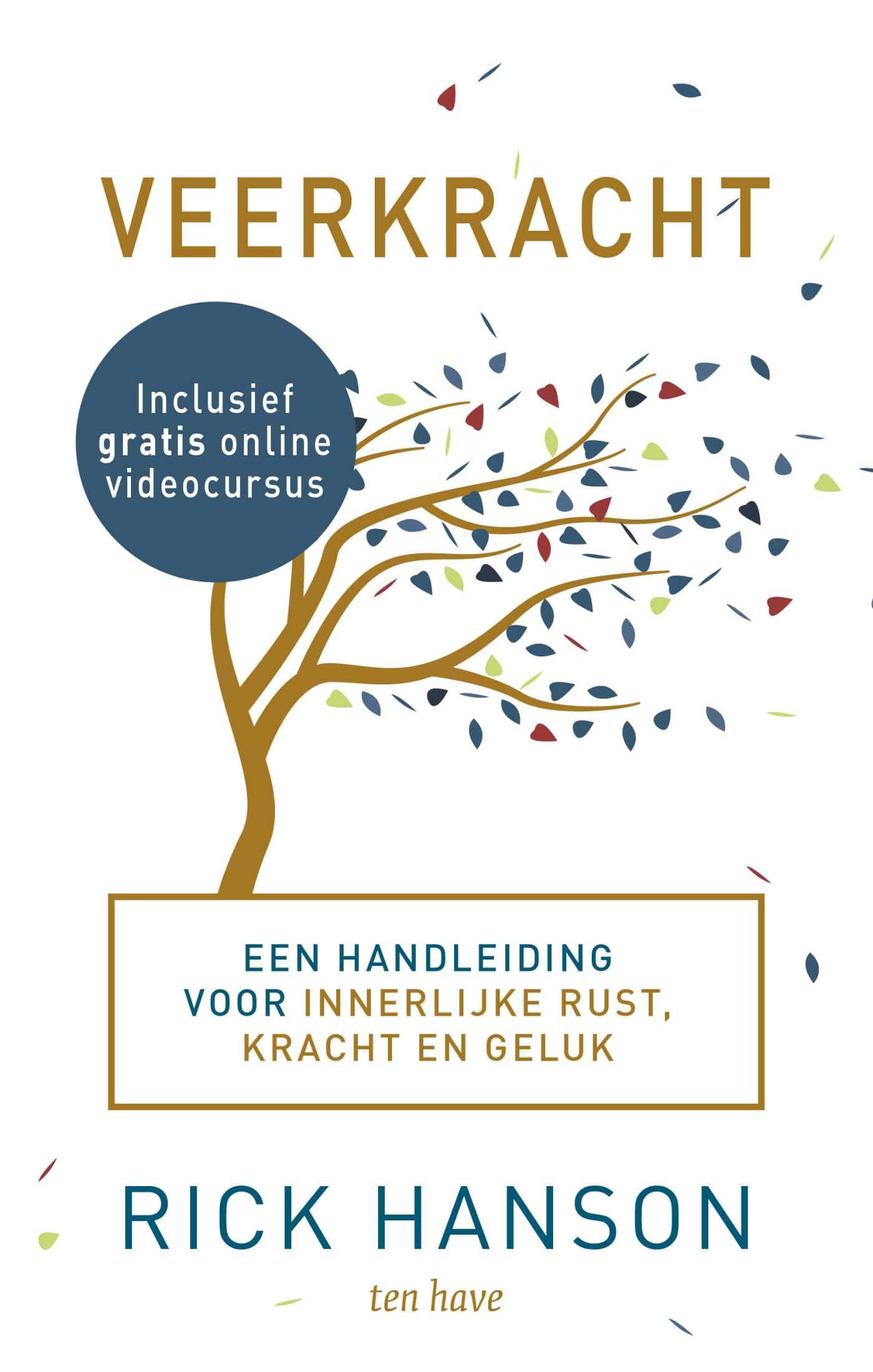 Veerkracht: een handleiding voor innerlijke rust, kracht en geluk book