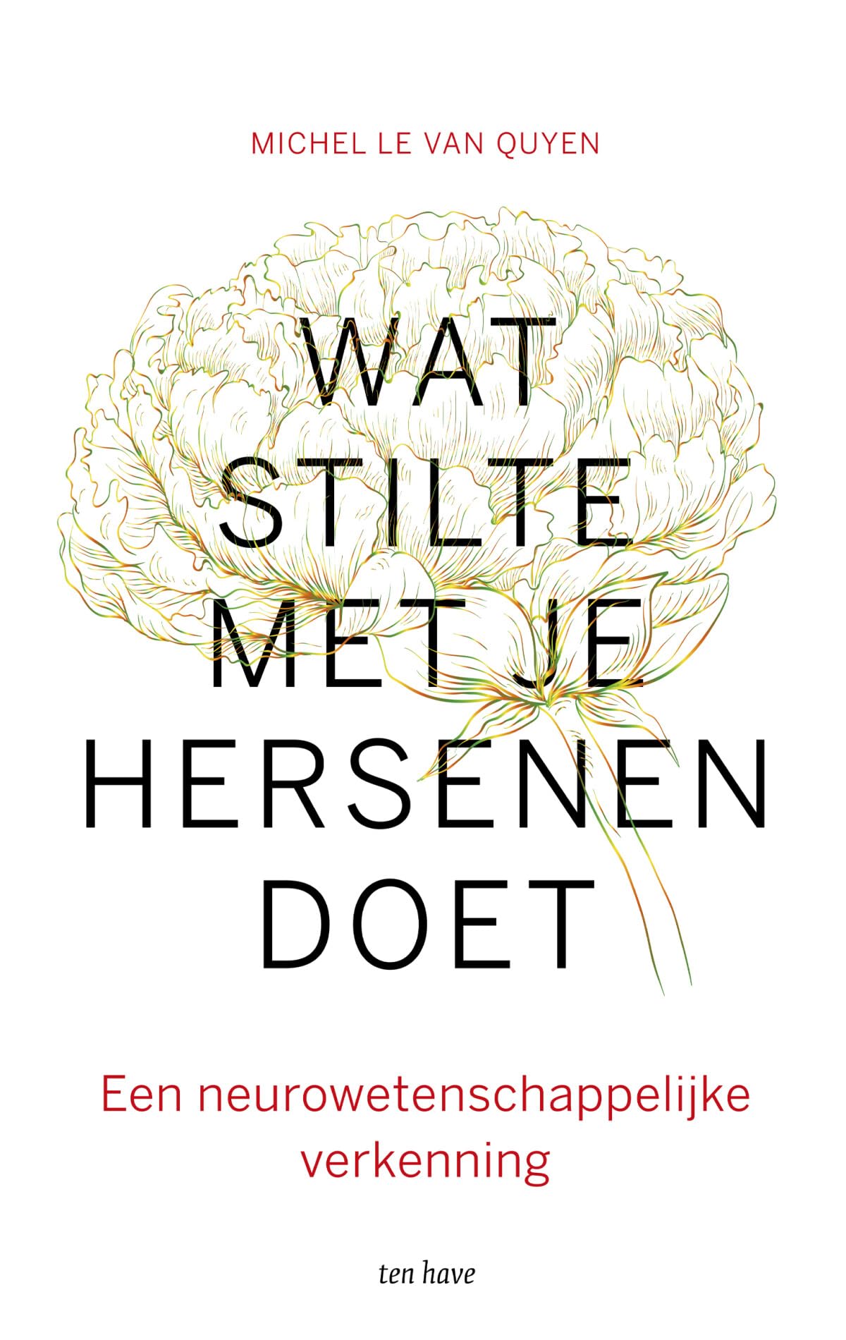 Wat stilte met je hersenen doet: een neurowetenschappelijke verkenning Science
