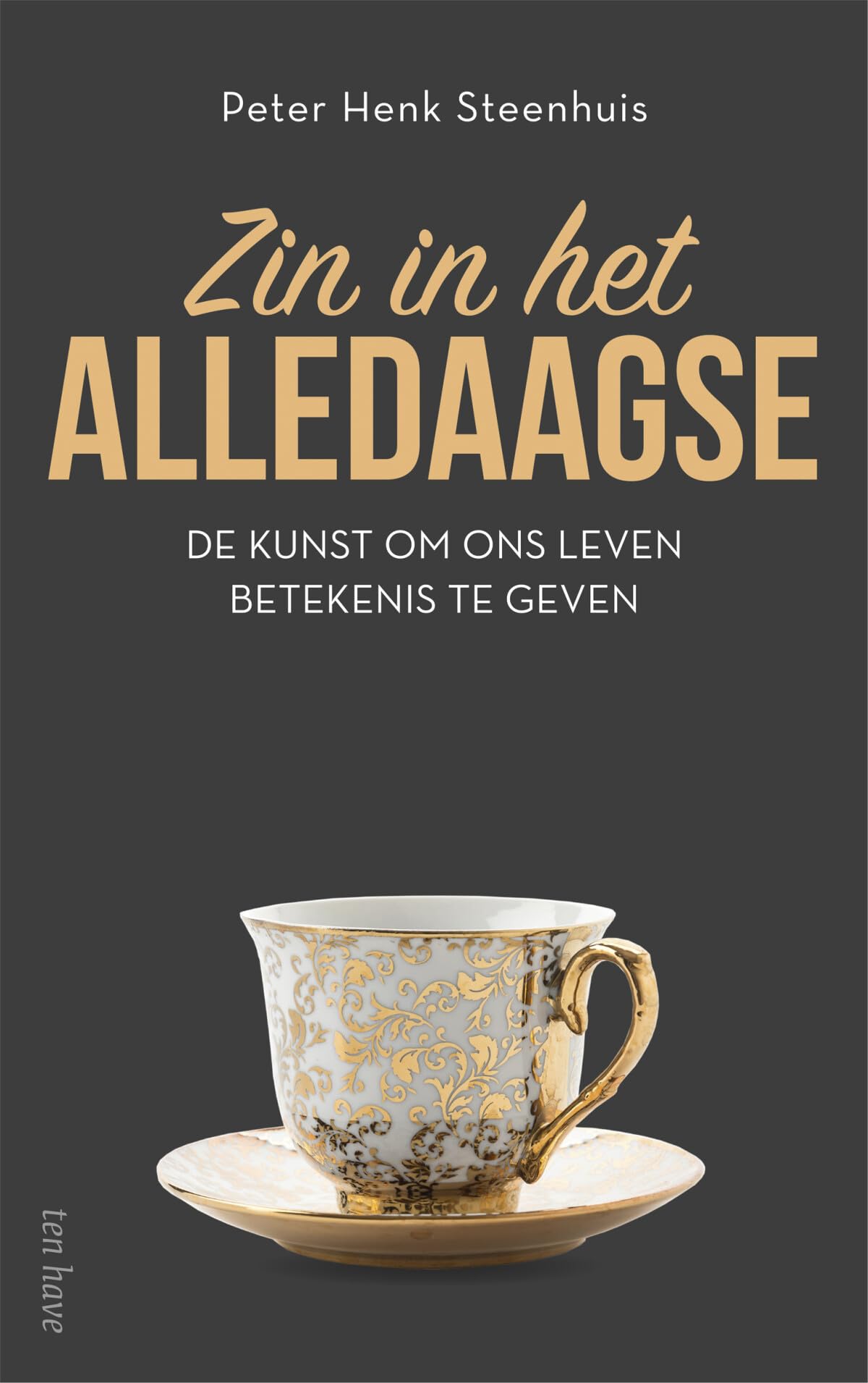 Zin in het alledaagse: de kunst om ons leven betekenis te geven book