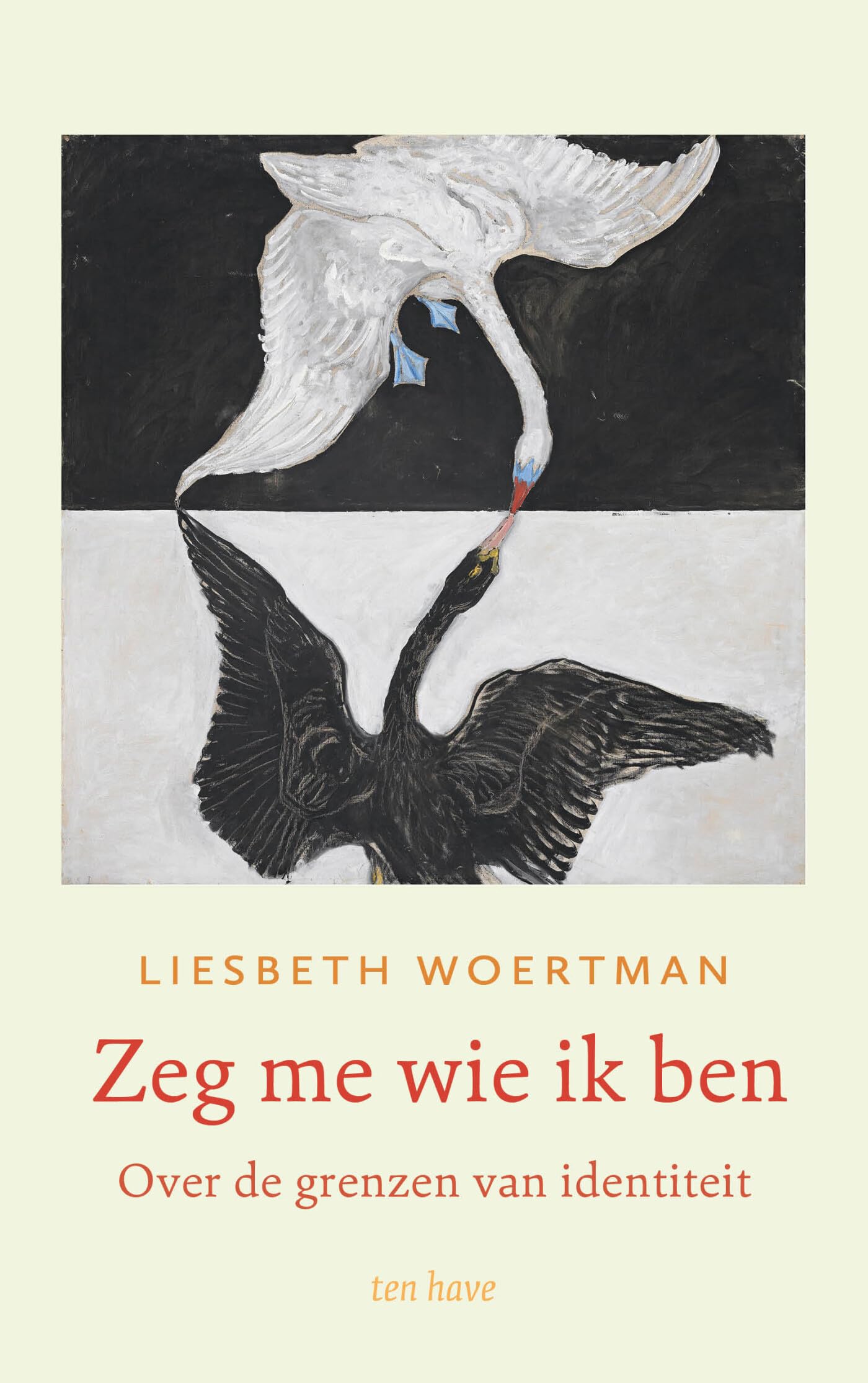 Zeg me wie ik ben: over de grenzen van identiteit book