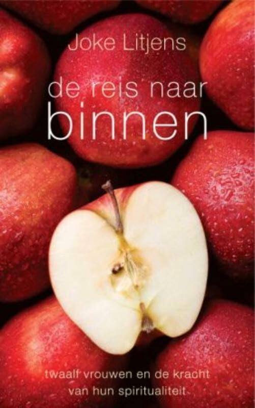 De reis naar binnen: twaalf vrouwen en de kracht van hun spiritualiteit book