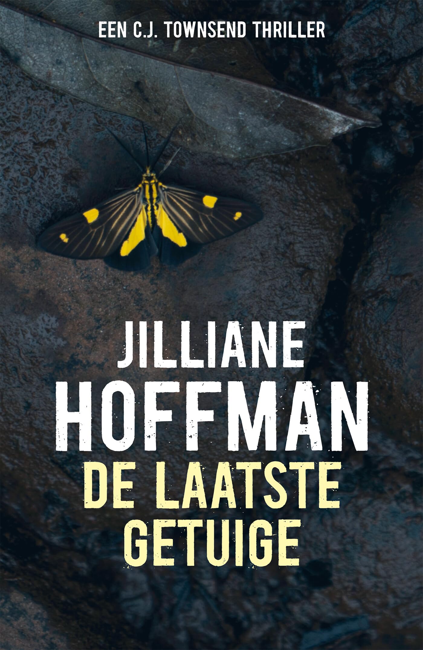 De laatste getuige (C.J. Townsend, 2) Action & Adventure