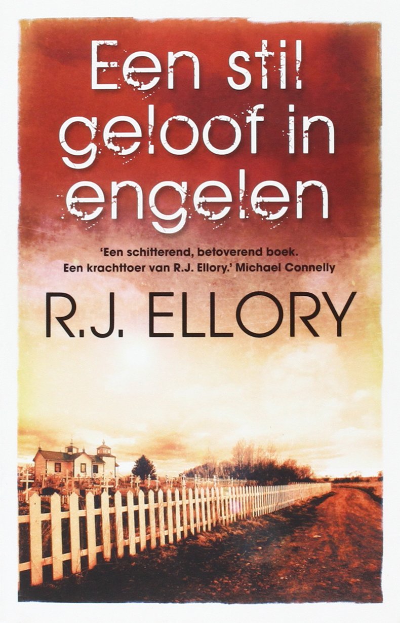 Een stil geloof in engelen book