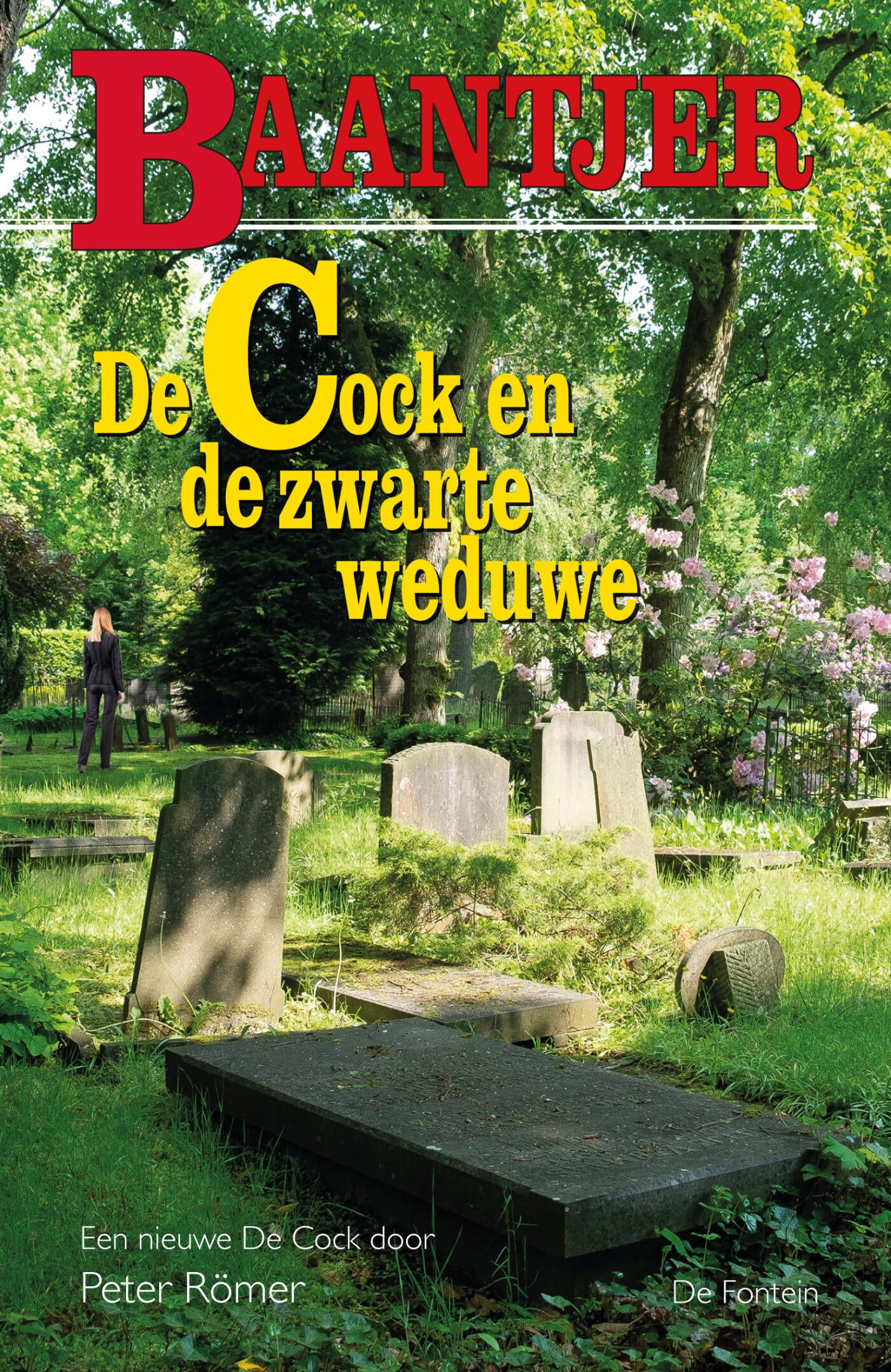 De Cock en de zwarte weduwe (Baantjer, 84) Contemporary literature