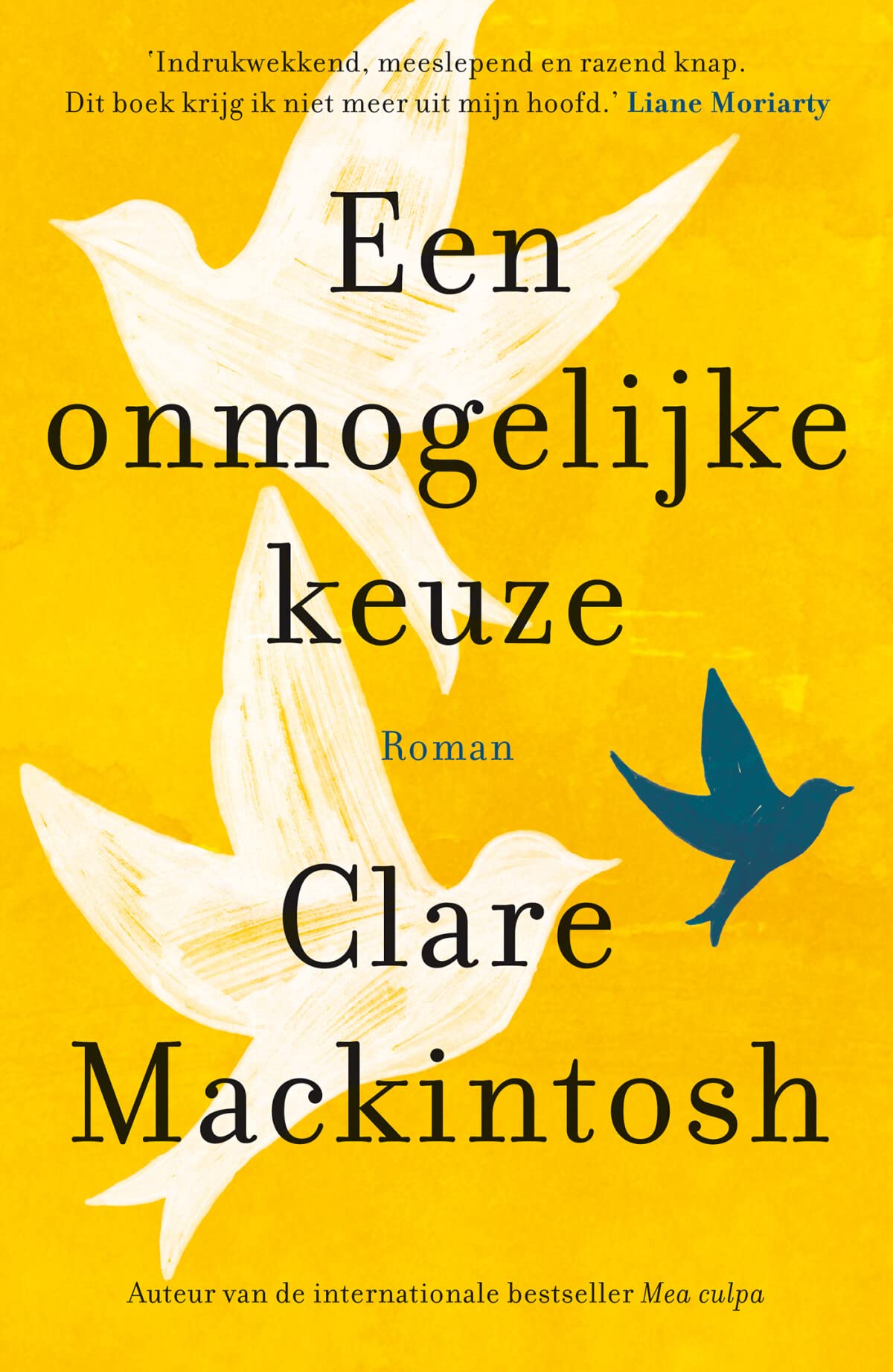 Een onmogelijke keuze book